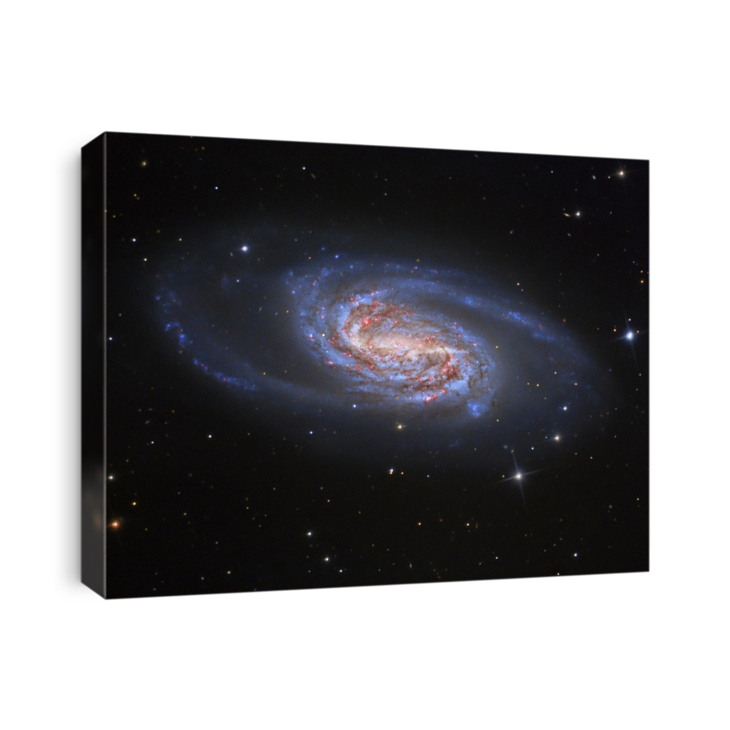 Barred spiral galaxy NGC 2903, optical image. This galaxy lies around 20.5 million light years from Earth in the constellation of Leo. It has a bright nucleus and several bright starbirth regions in its spiral arms. These glow pink as the hydrogen gas they contain is ionised by radiation from the hot young stars born within them.