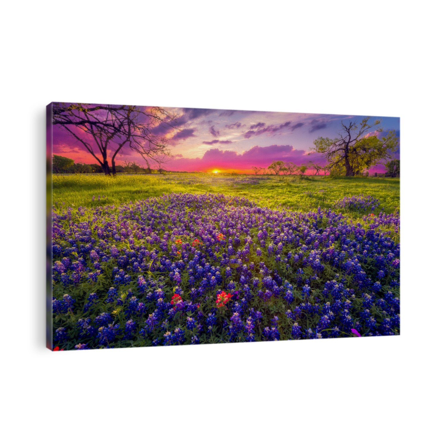 Sunrise in the Texas Hill Country