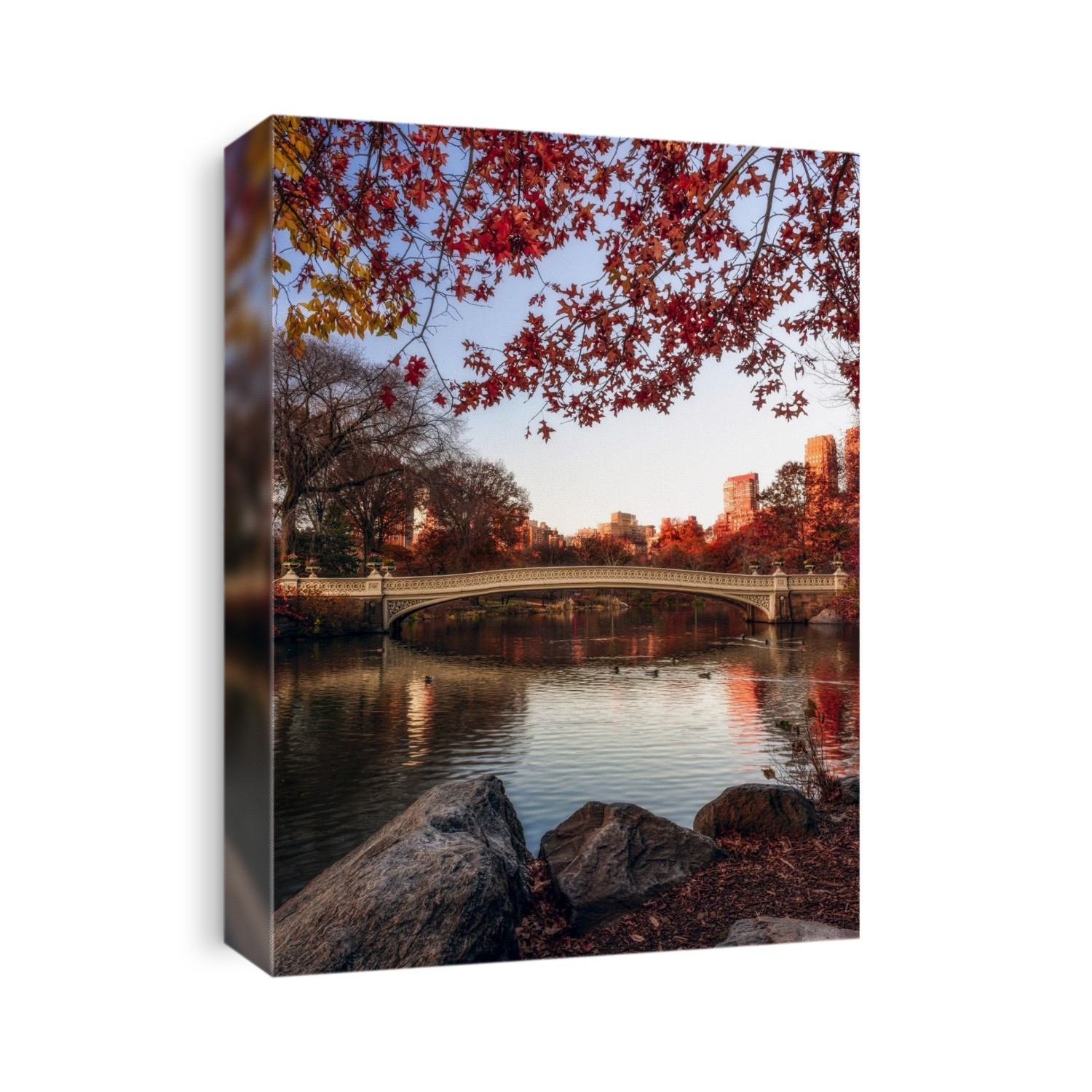 Autumn coloured foliage around Bow Bridge, Central Park; New York City, New York, United States of America