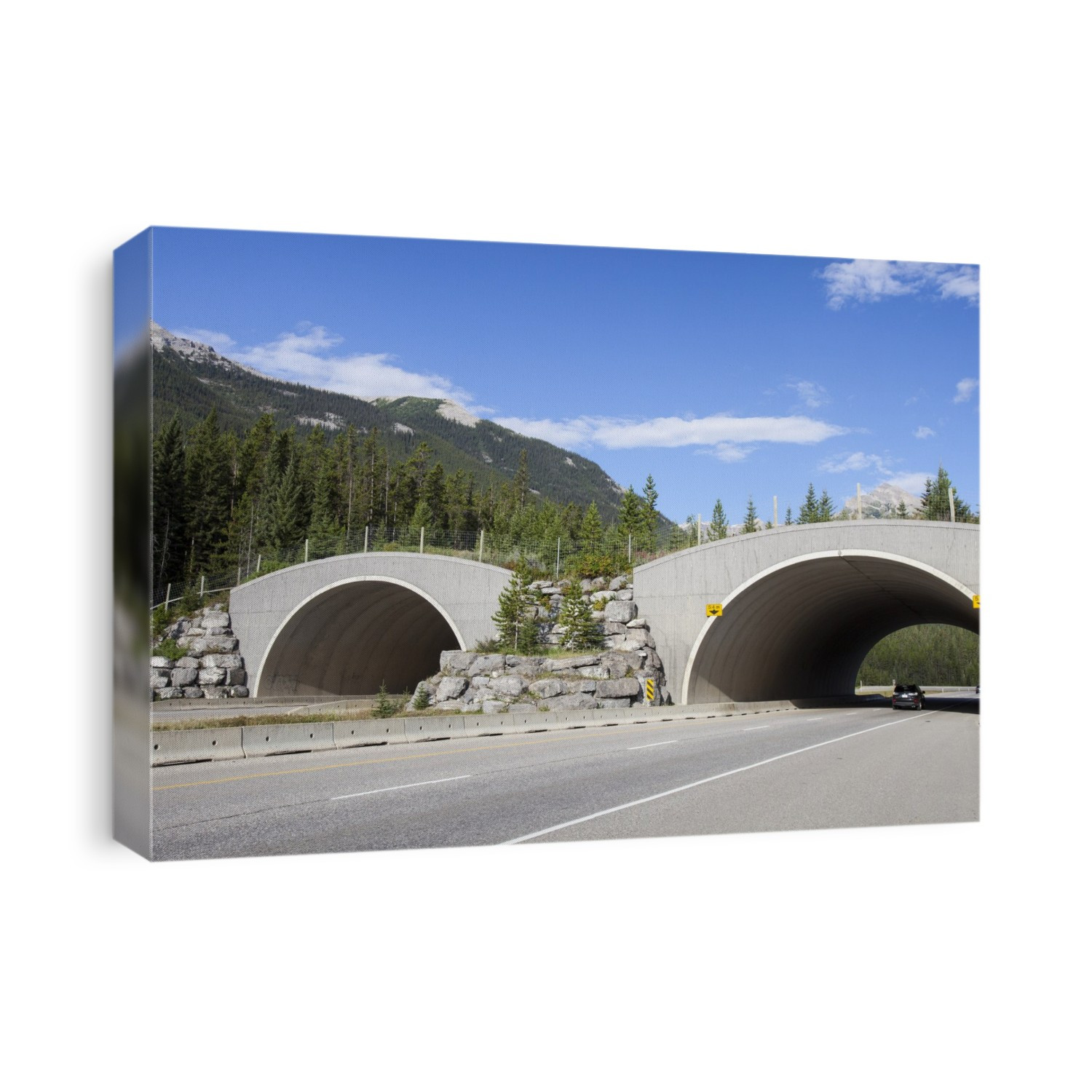 A wildlife crossing bridge over the icefield parkway in the Banff National Park, Rocky Mountains, Canada.