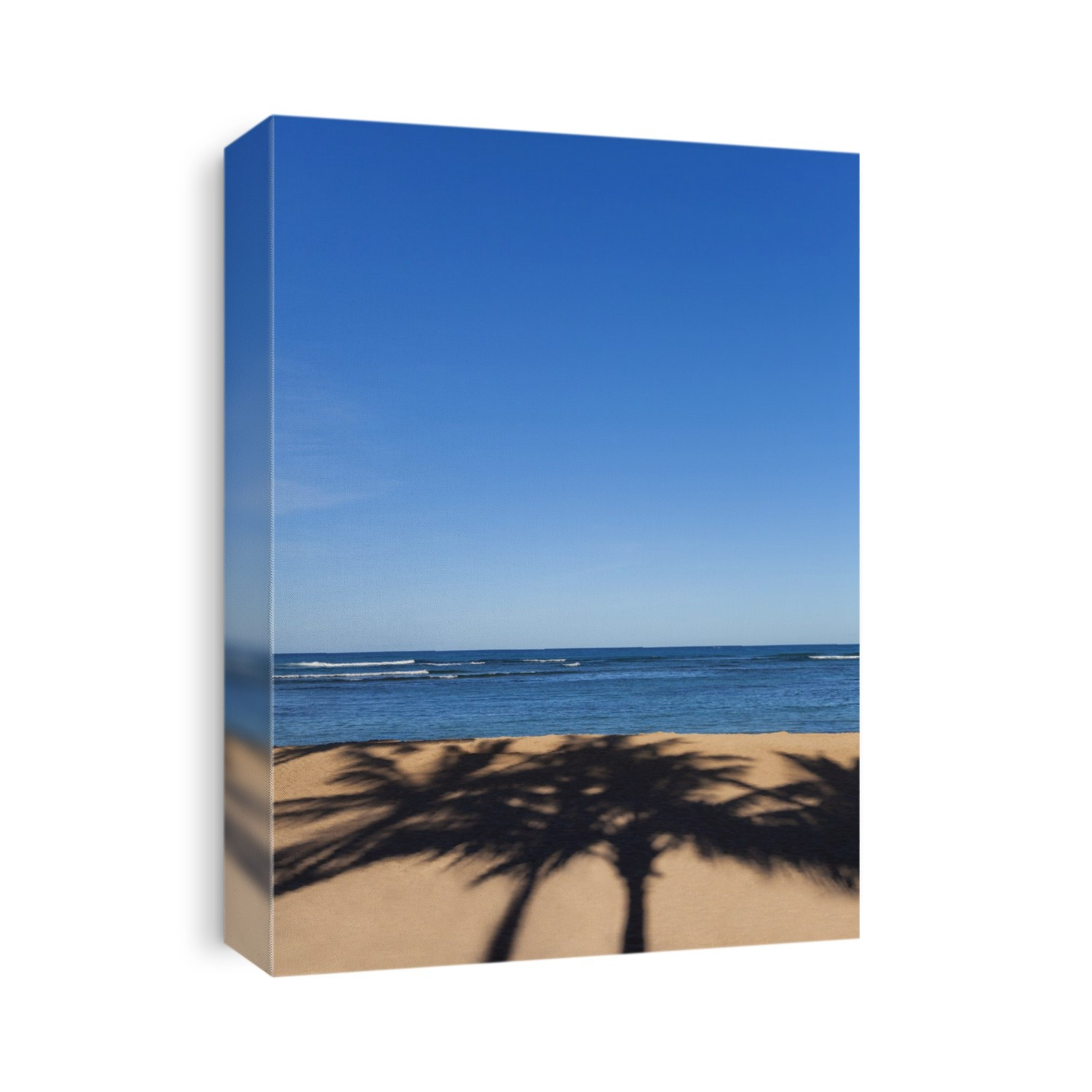 Palm Tree Shadows On The Sand At The Beach On A Nice Clear Blue Sky Day; Honolulu, Oahu, Hawaii, United States Of America