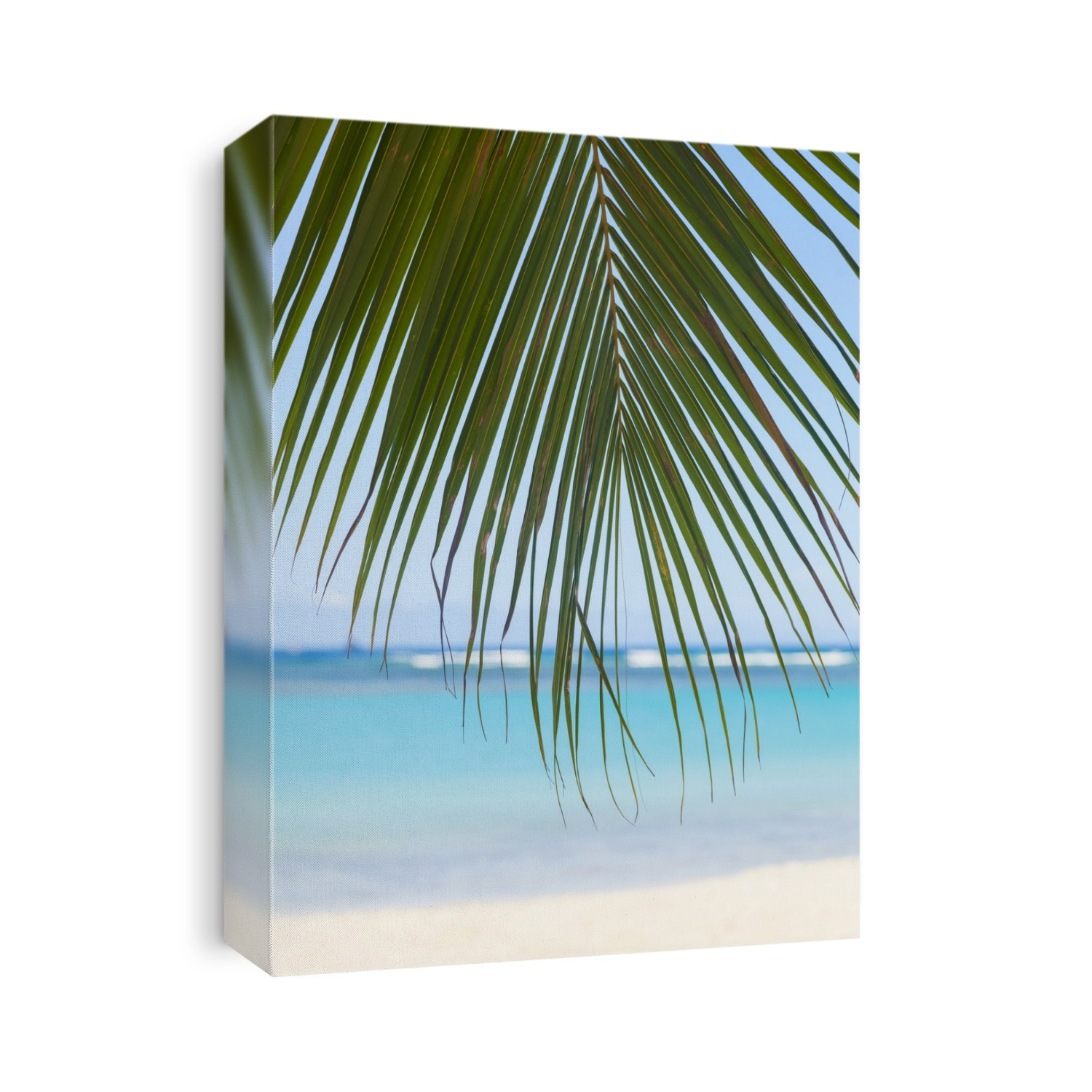 Beautiful Clear Day On A White Sandy Beach With Coconut Palm Tree Fronds Hanging Above; Honolulu, Oahu, Hawaii, United States Of America