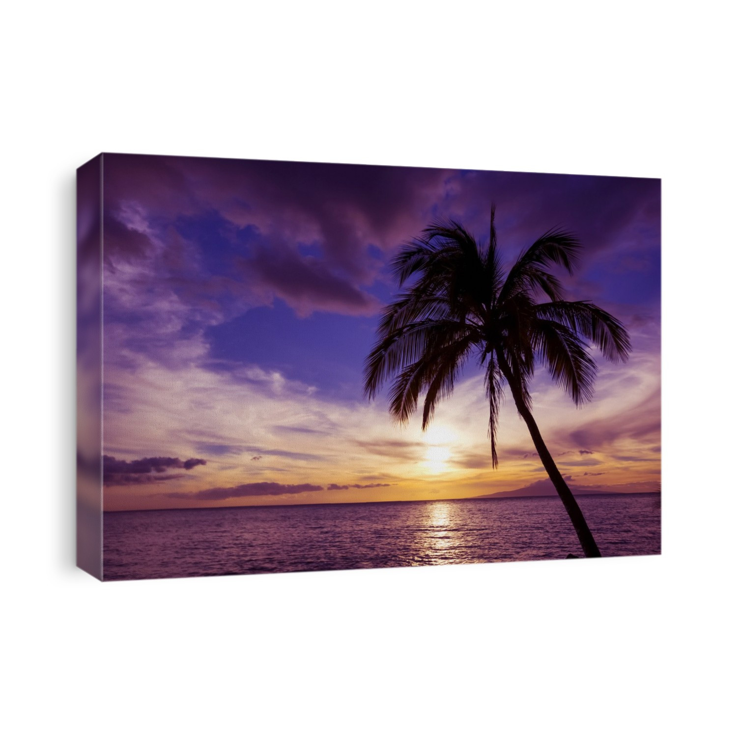 Palm tree at sunset; Kihei, Maui, Hawaii, United States of America