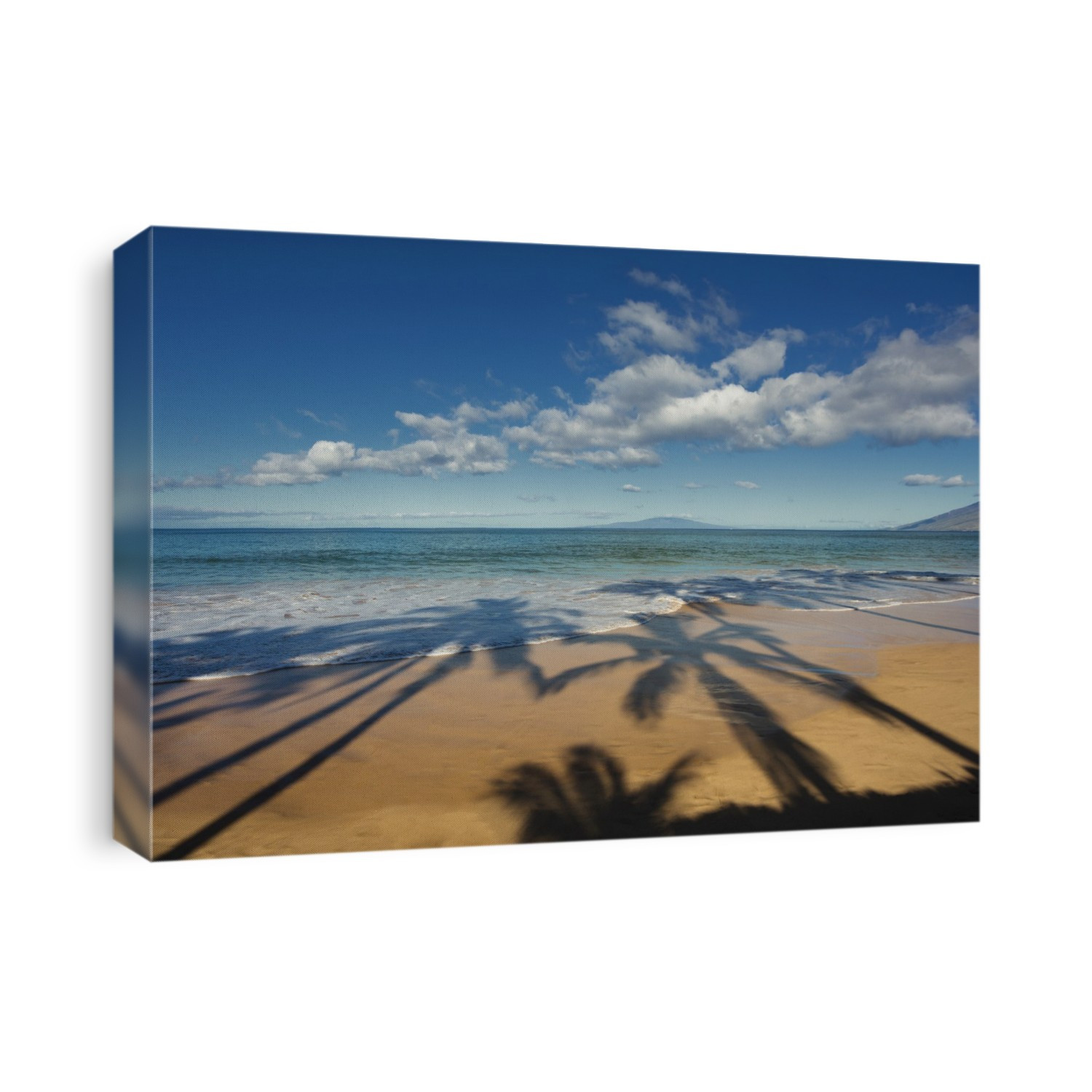 Shadows of palm trees on a beach on a sunny day; Maui, Hawaii, United States of America