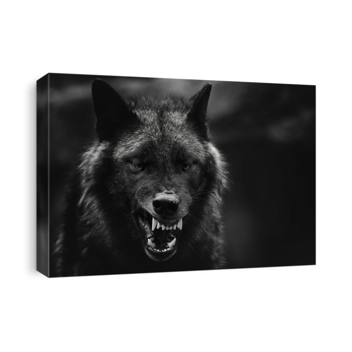 A greyscale closeup shot of an angry wolf with a blurred background