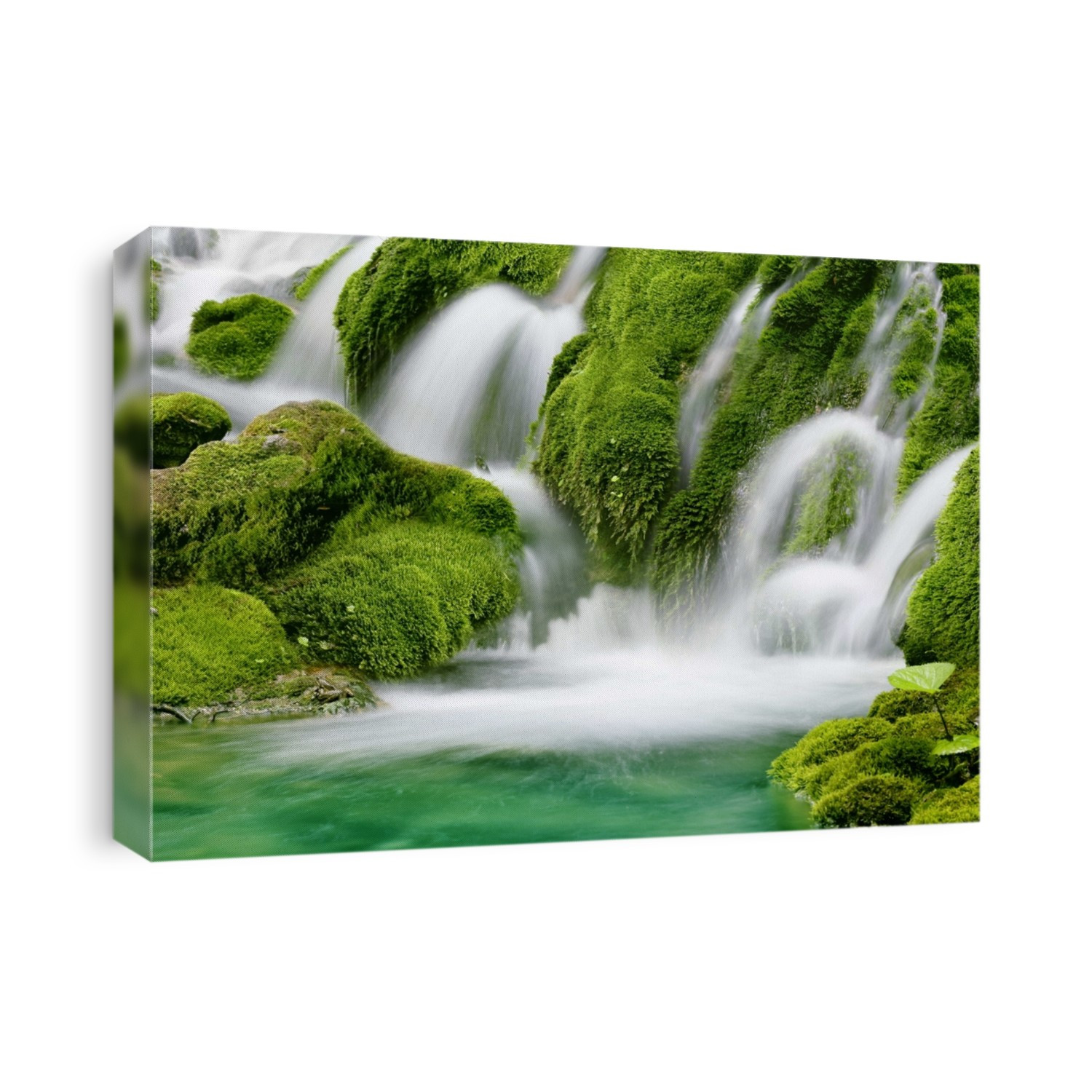 Natural spring waterfall surrounded by moss and lush foliage.