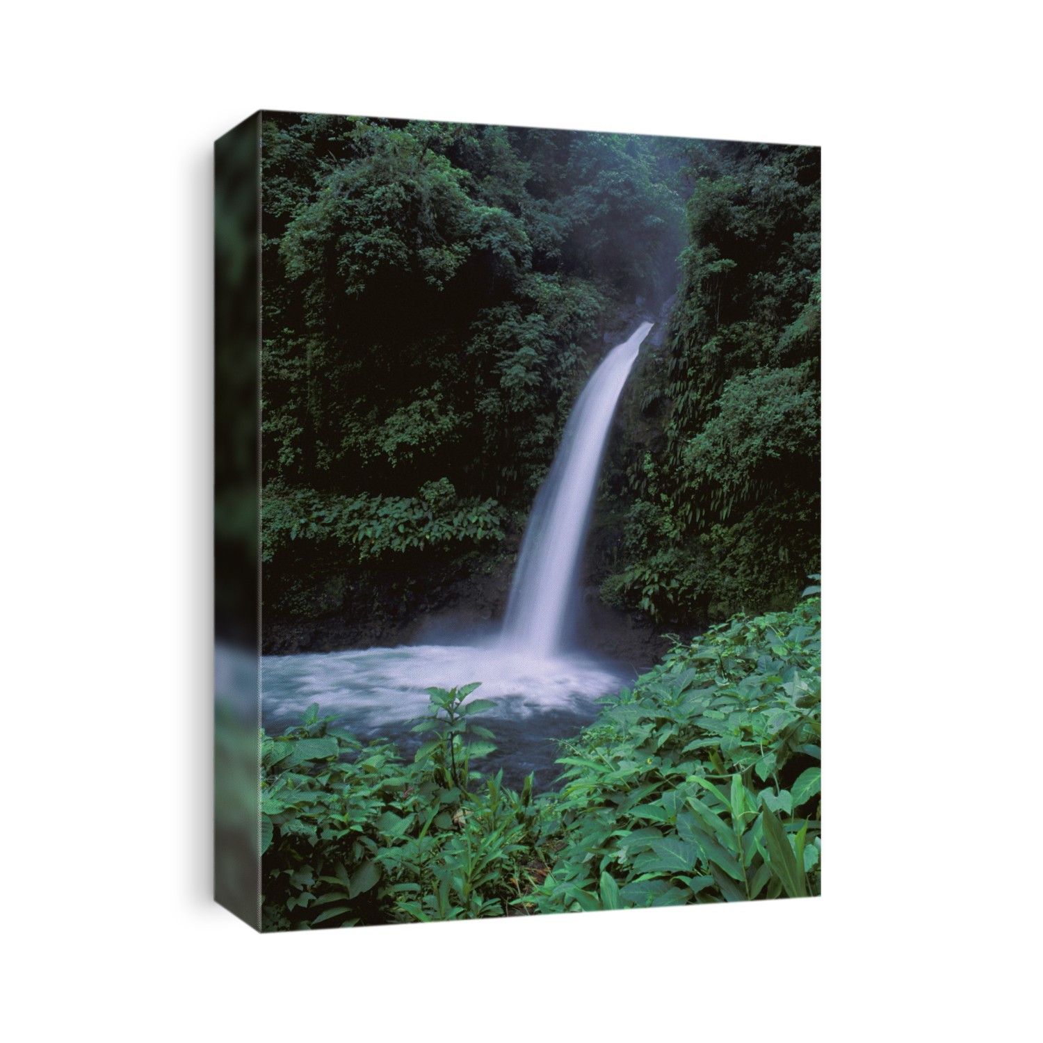 Tropical Waterfall