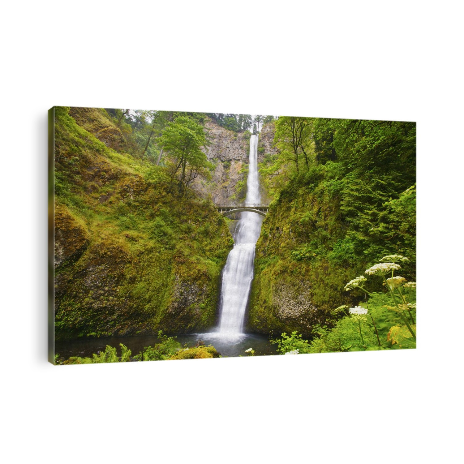 Multnomah Falls in Columbia River Gorge National Scenic Area; Oregon, United States of America