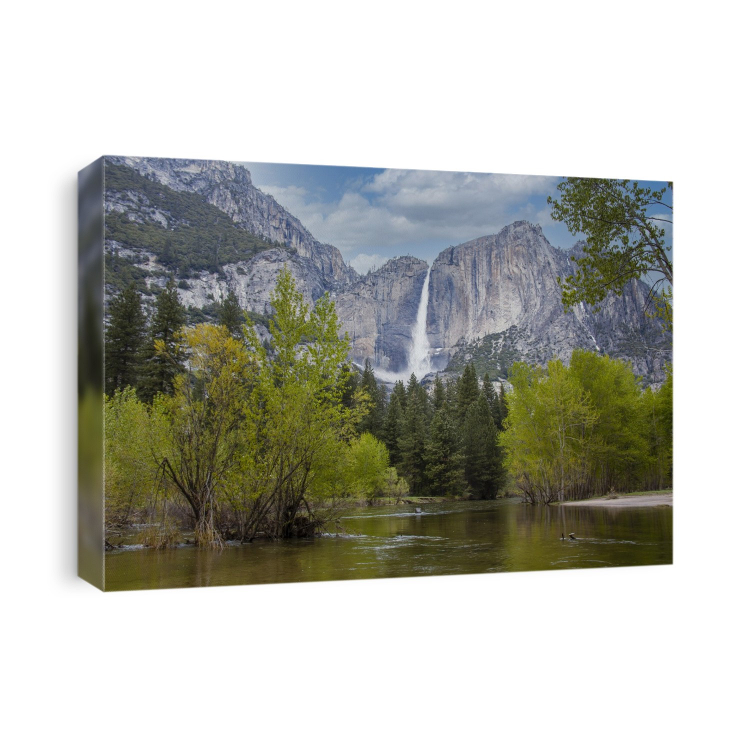 Yosemite Falls in Yosemite National Park; California, United States of America