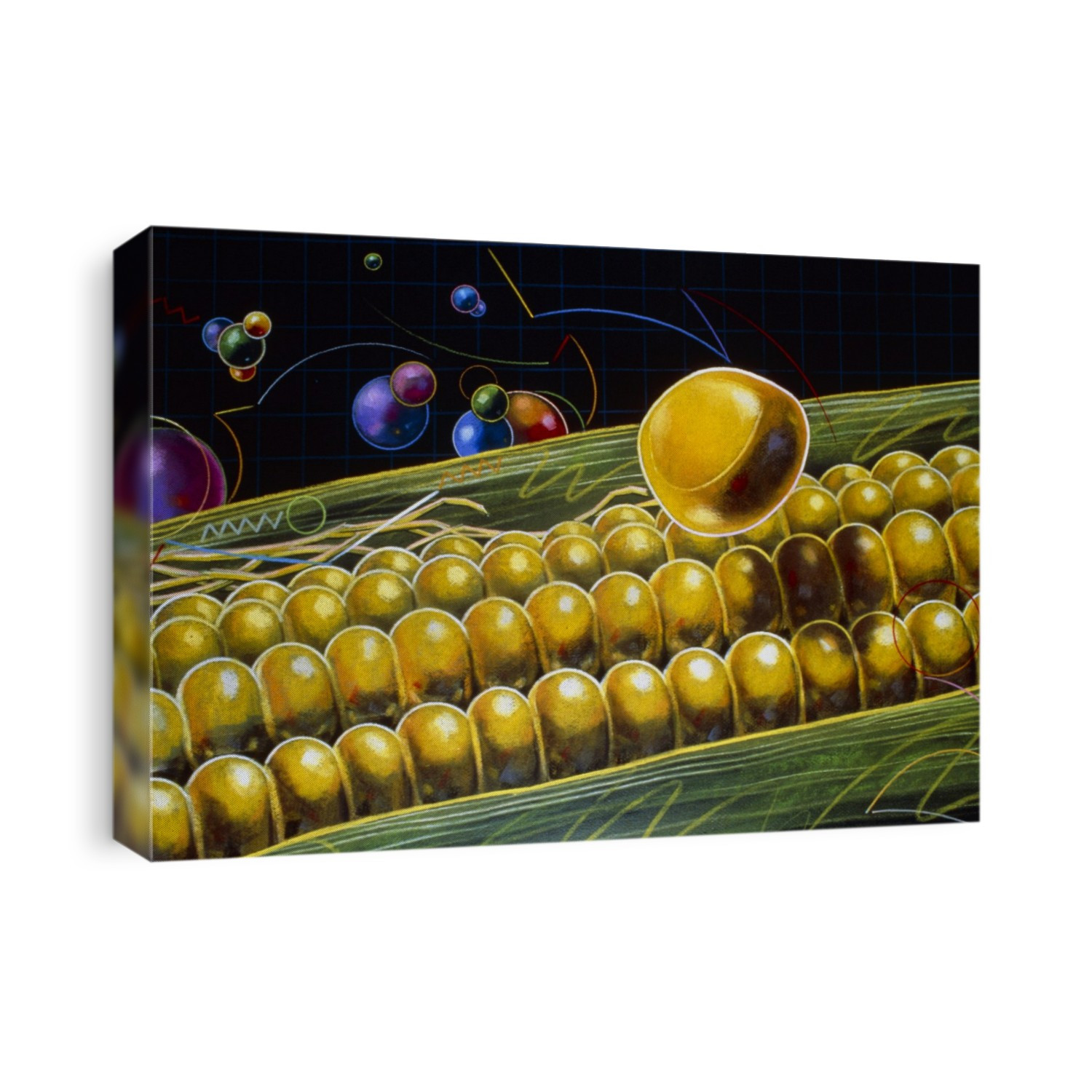 Genetically improved corn: the title of an illustration by the artist Andrzej Dudzinski. First published by Grace Digest, 1984