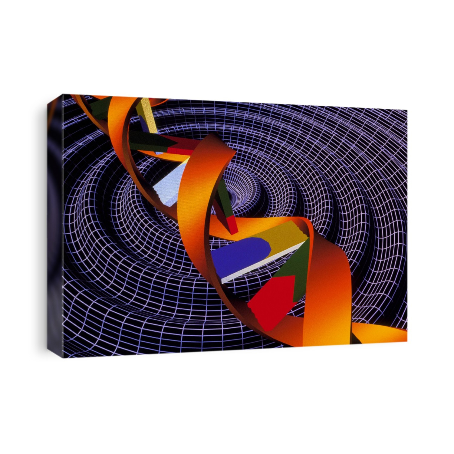 DNA. Computer illustration of part of a molecule of beta DNA (deoxyribonucleic acid), the genetic material found in all living cells, seen over wire-frame ripples. Beta DNA spirals clockwise when viewed from above. DNA encodes the hereditary characteristics of living organisms and is responsible for all hereditary traits. It consists of two strands wound around each other in a double helix. The strands each have a sugar-phosphate backbone (orange) connected by paired nucleotide bases (red, green, blue, yellow). In DNA the bases are cytosine, guanine, thymine and adenine. The sequence of these four bases determines the unique genetic code of each individual.