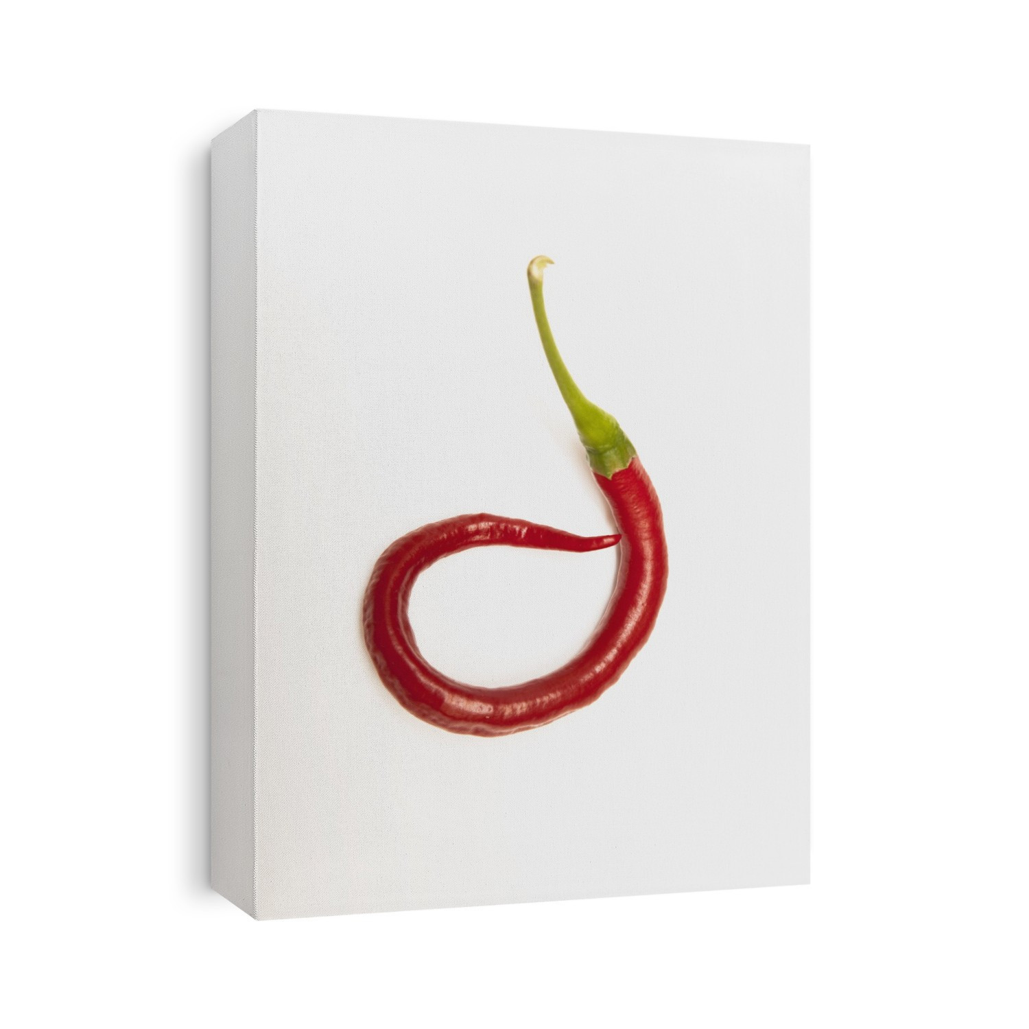 A Red Jalapeno Pepper That Has Curled