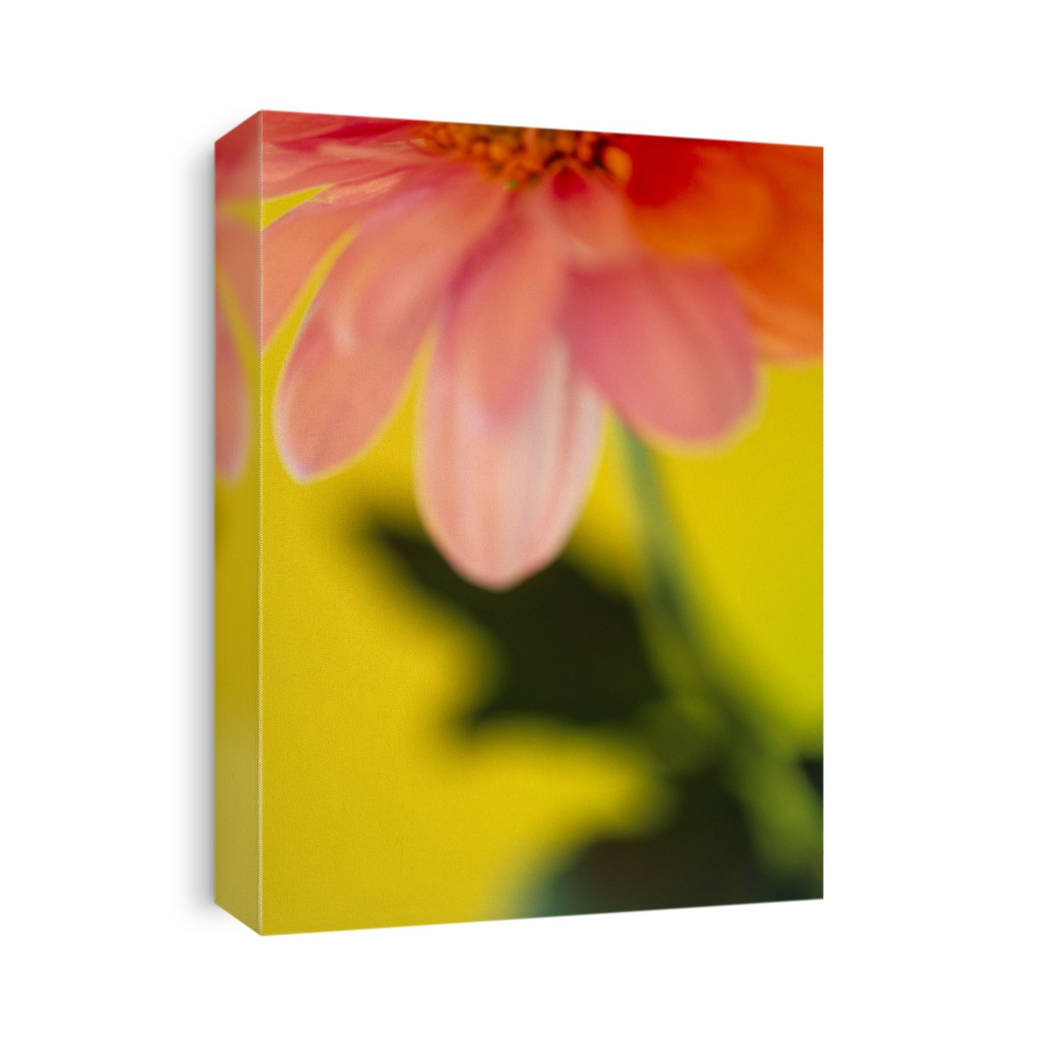 Flower.