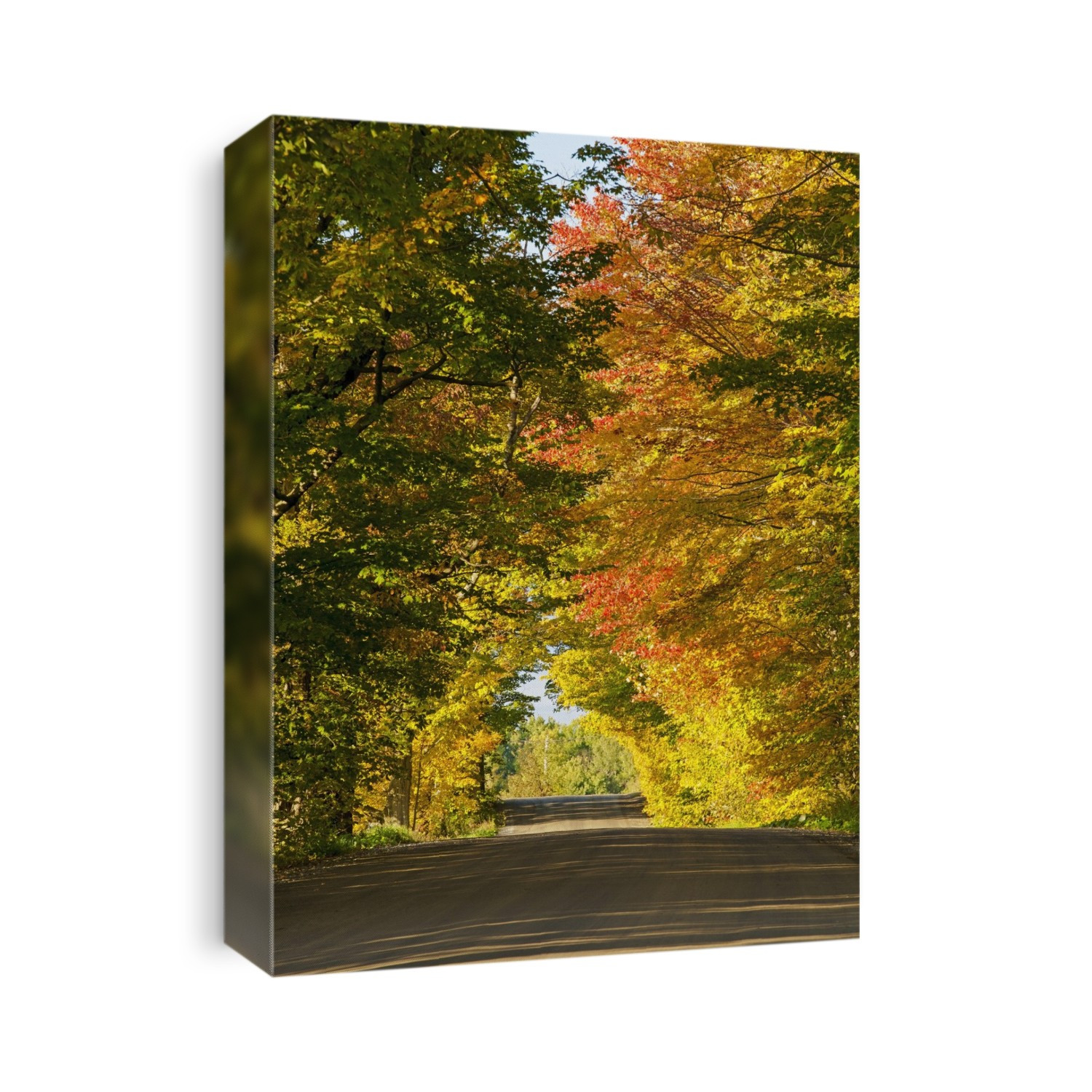 Country Road In Autumn; West Bolton, Quebec, Canada