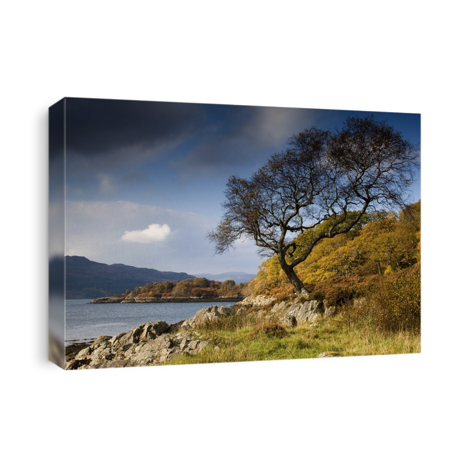 Scottish Landscape