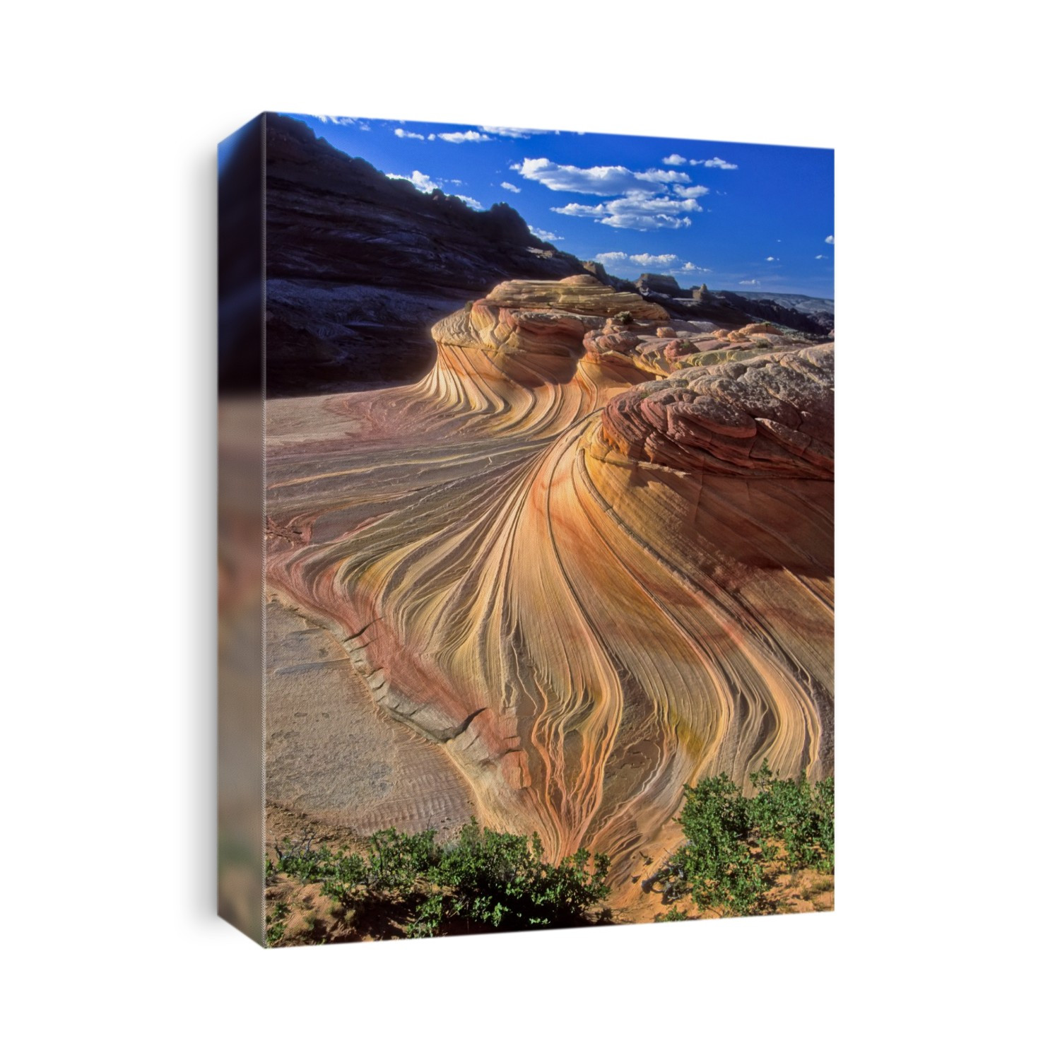 Colorful sandstone rock formations of the Coyote Buttes in the Paria Canyon-Vermilion Cliffs Wilderness; Arizona, United States of America