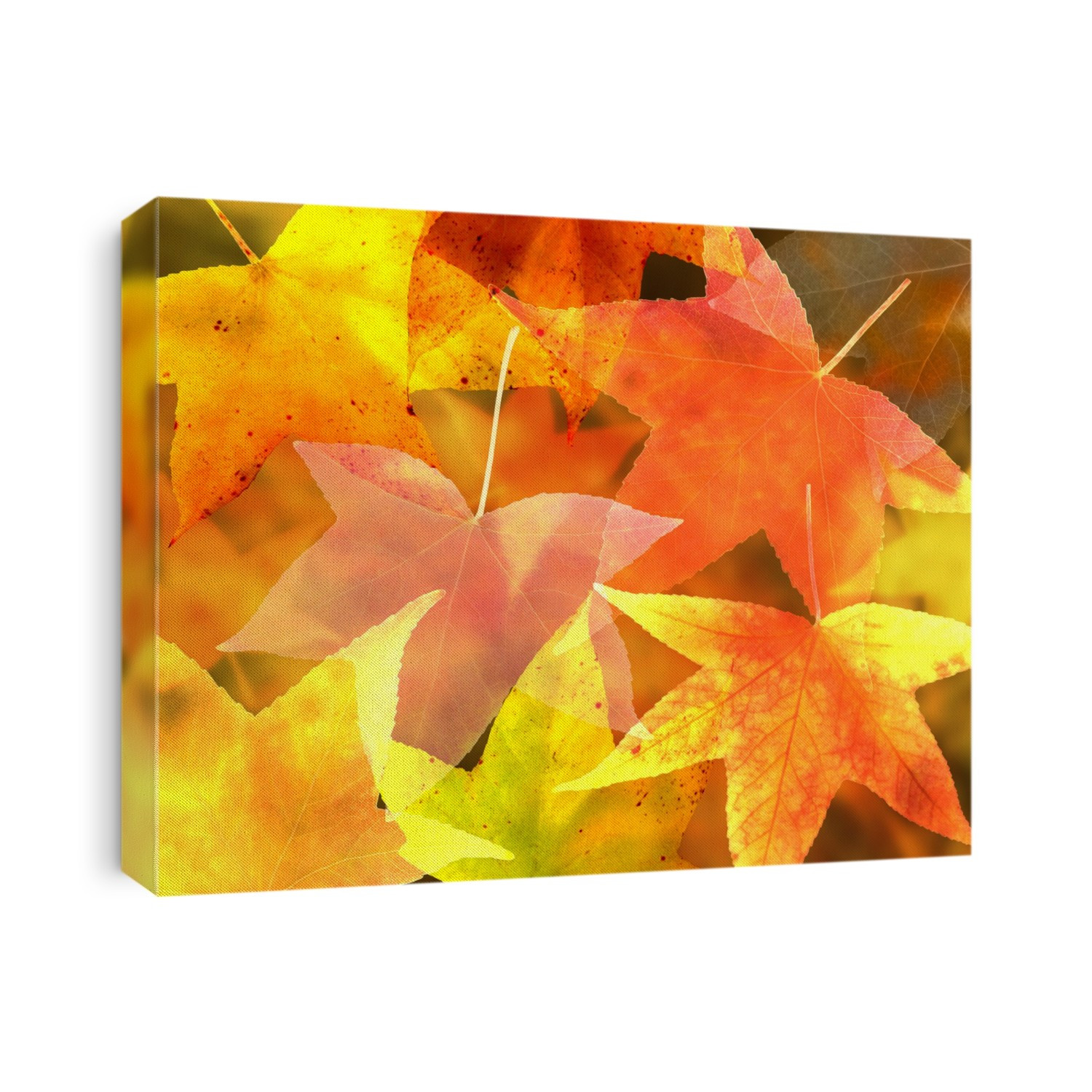 Illustration of a collection of brightly coloured autumn leaves.
