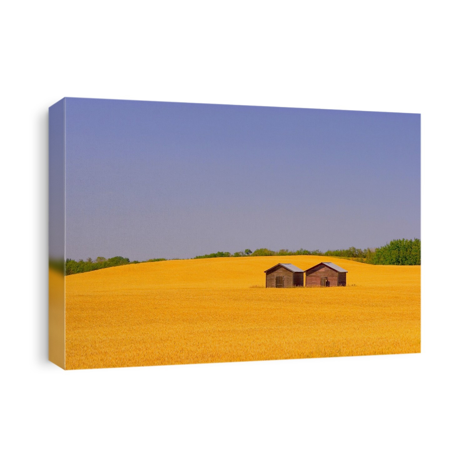 A Farmer's Field