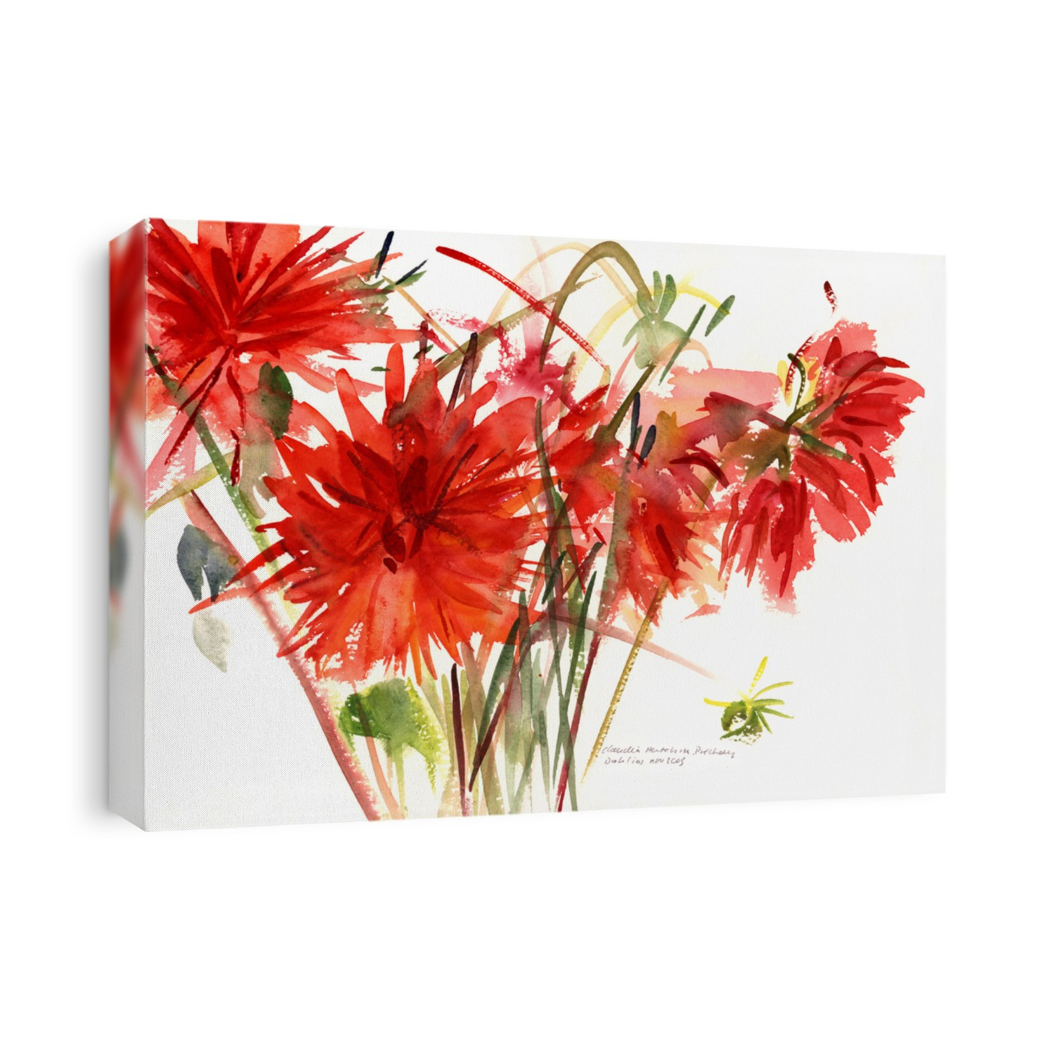 Dahlias rouges; Hutchins; dahlia; red; orange; flower; plant; flowers;