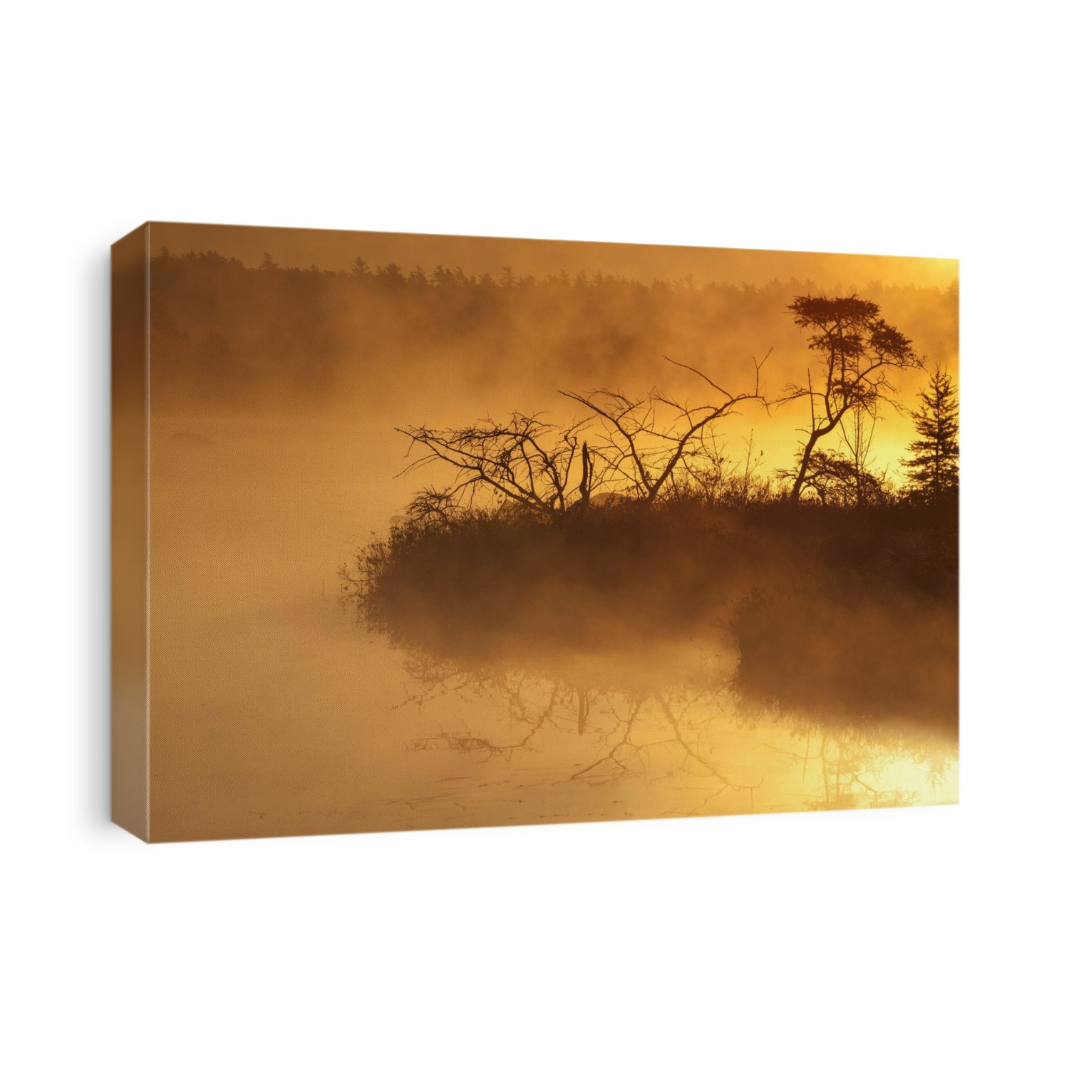 Autumn Morning Mist Glowing Yellow On Rocky Lake; Bedford, Nova Scotia, Canada
