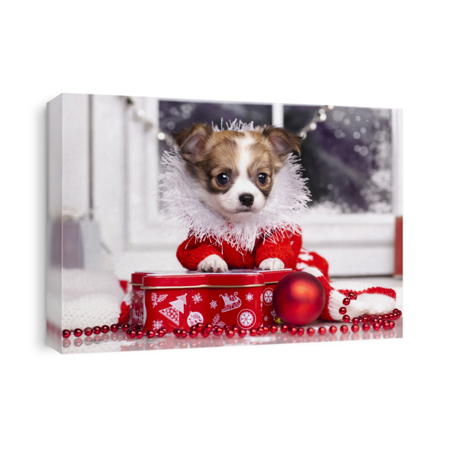 Chihuahua puppy wearing Santa coat