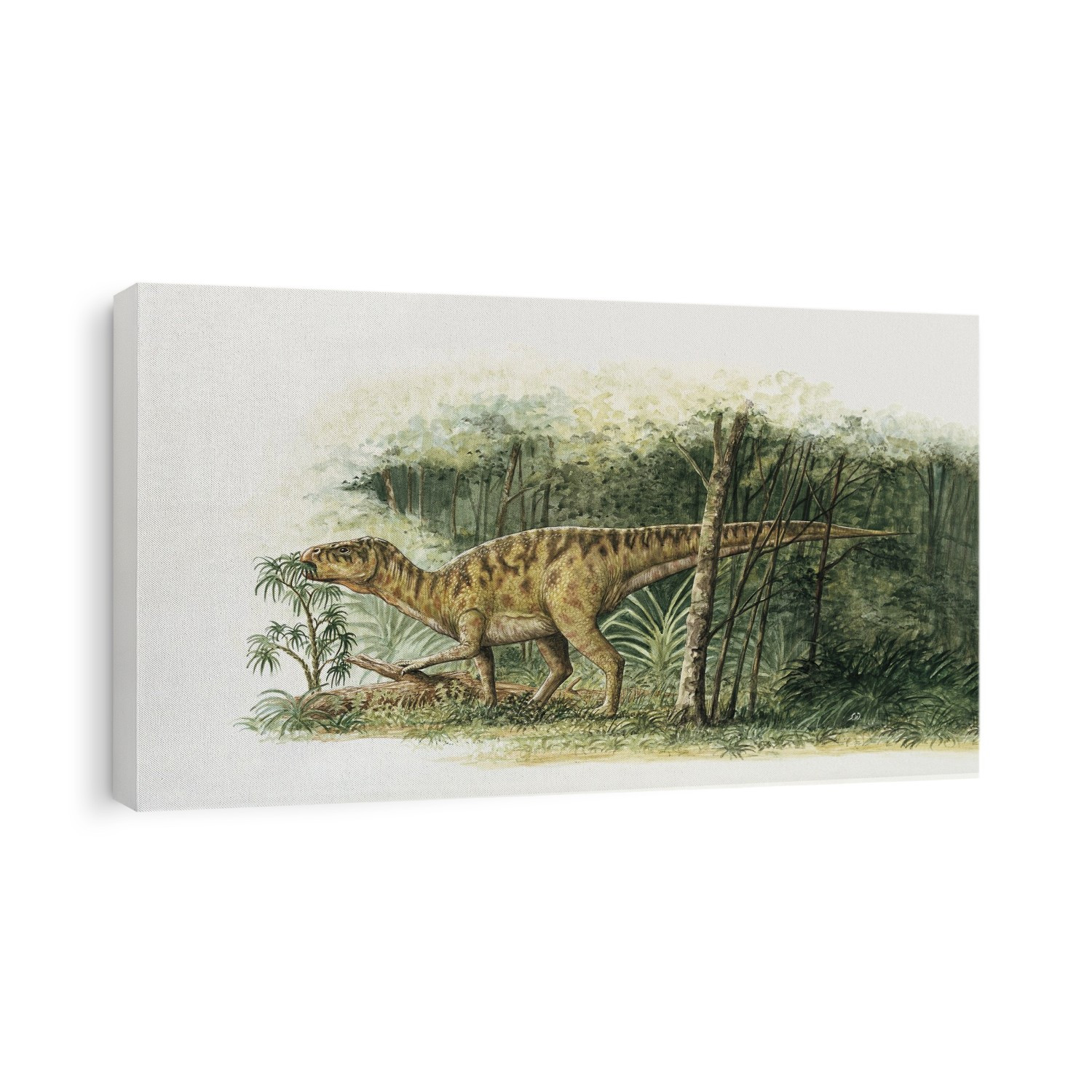 Rhabdodon dinosaur eating plants in the forest.