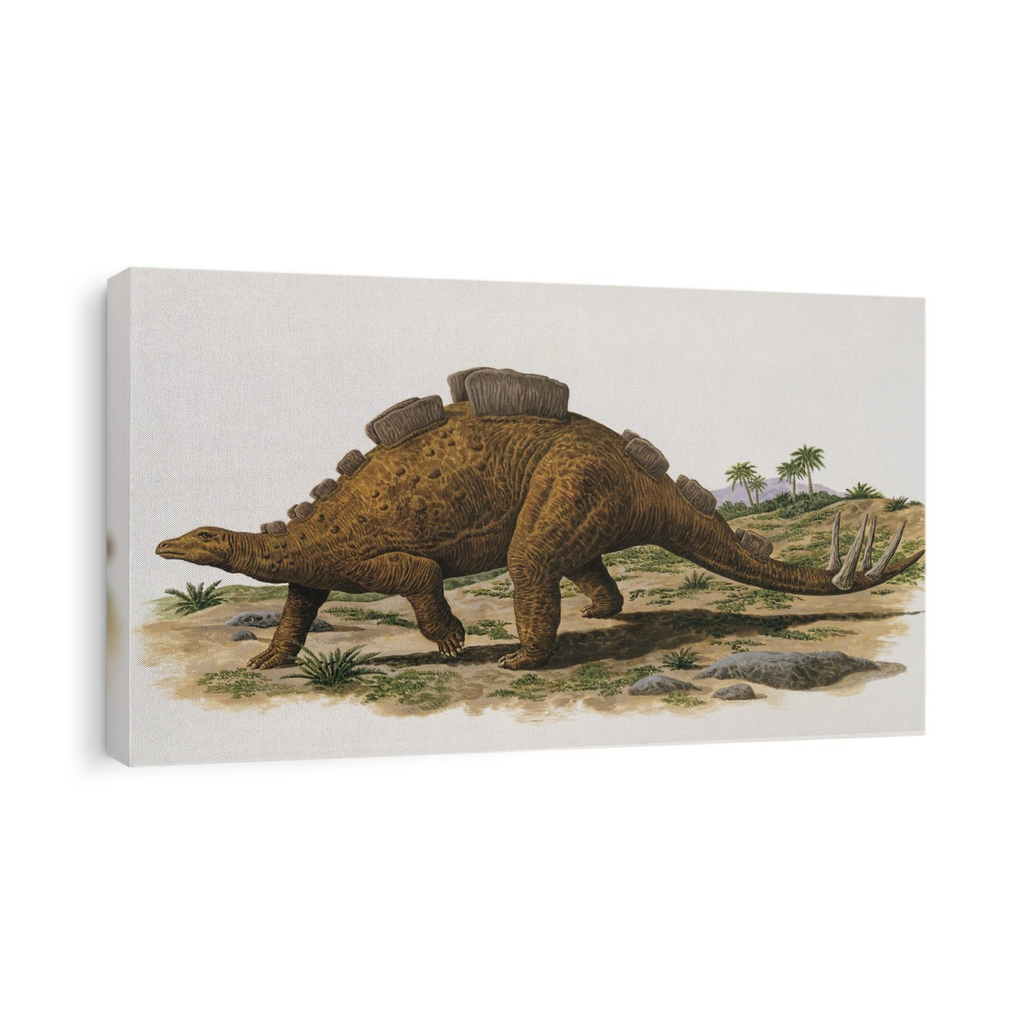 Wuerhosaurus dinosaur walking on a landscape.