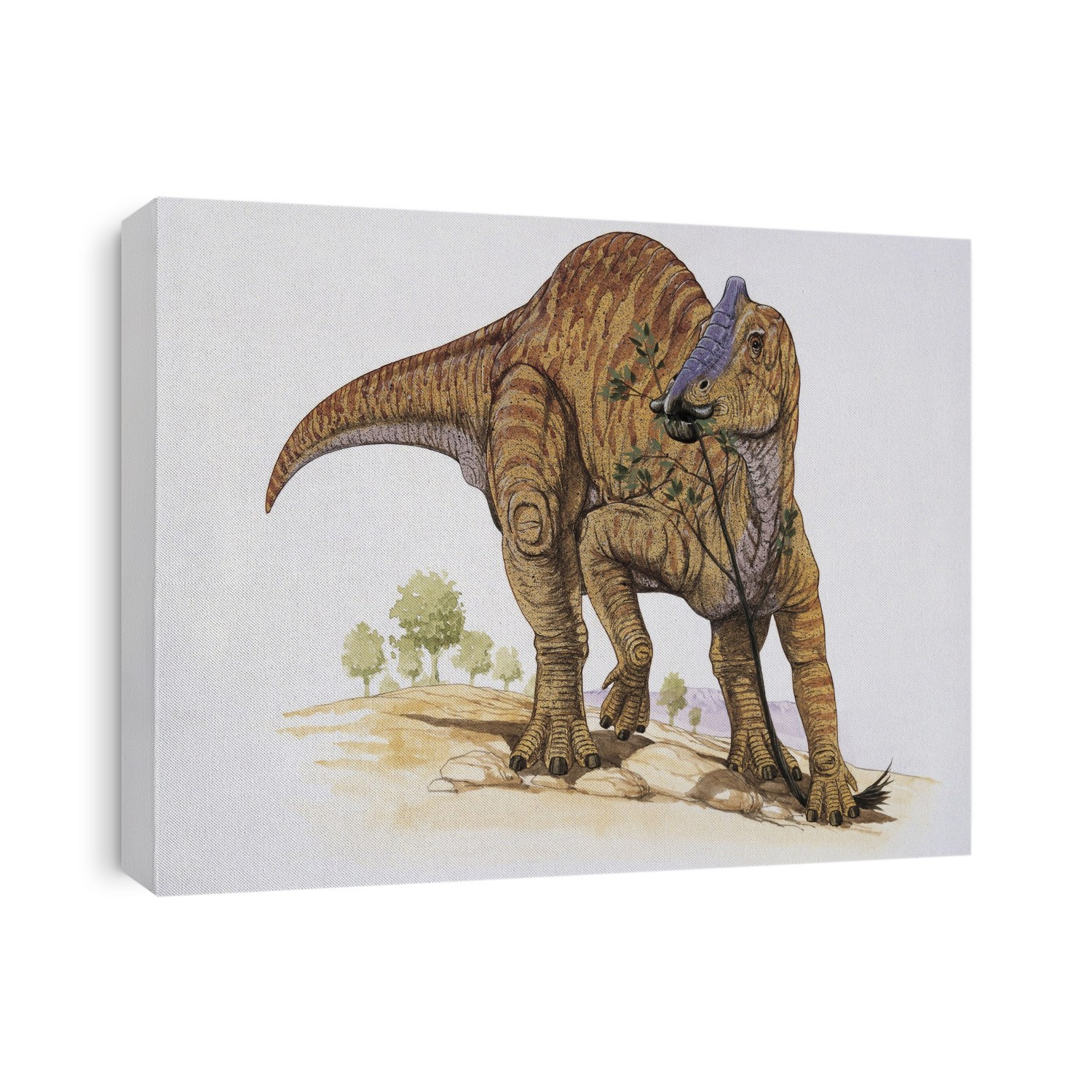 Close-up of a prosaurolophus dinosaur walking in the forest.