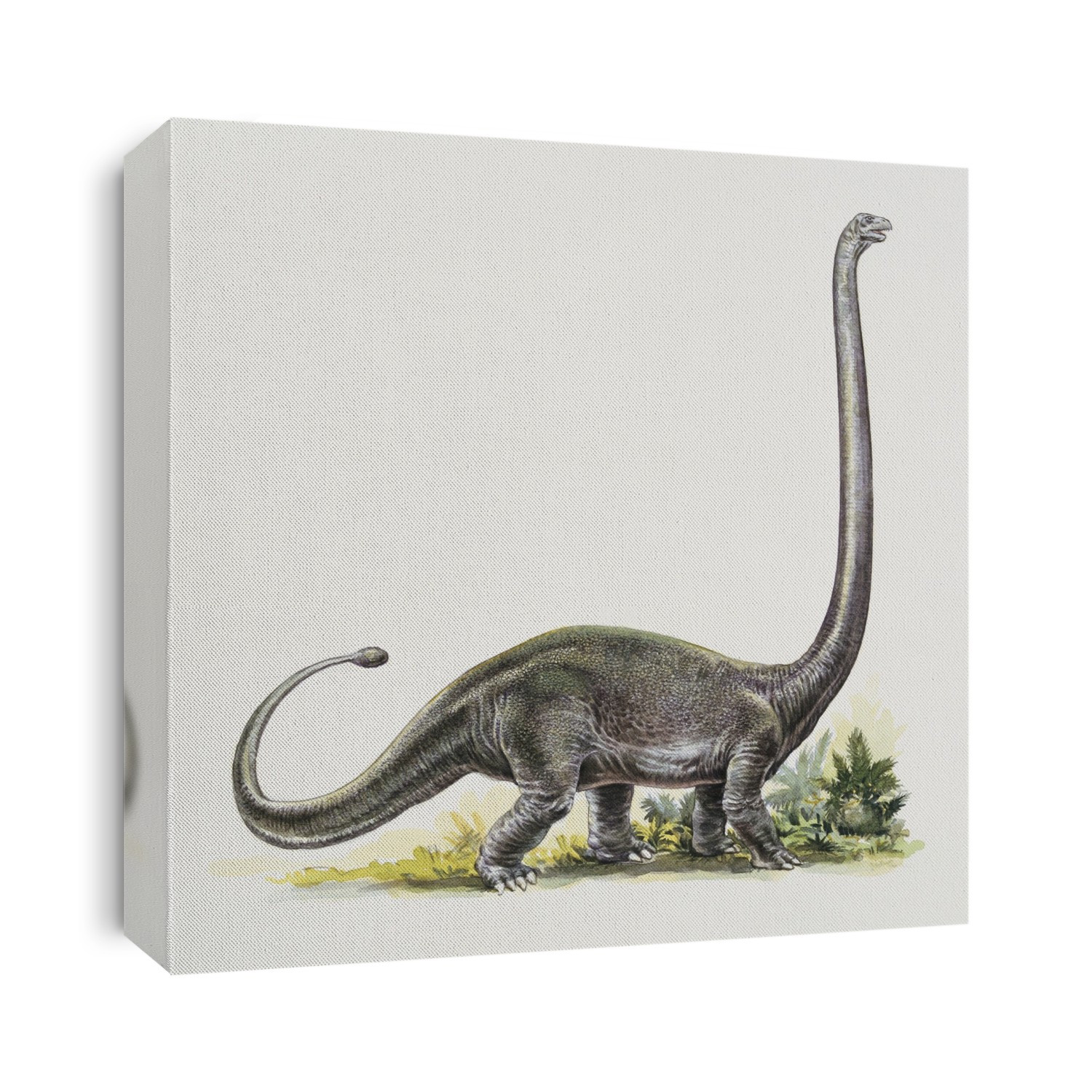 Side profile of an omeisaurus.