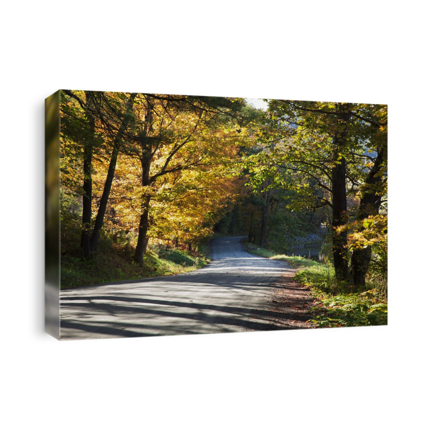 Country Dirt Road In Autumn; Woodstock, Vermont, United States Of America