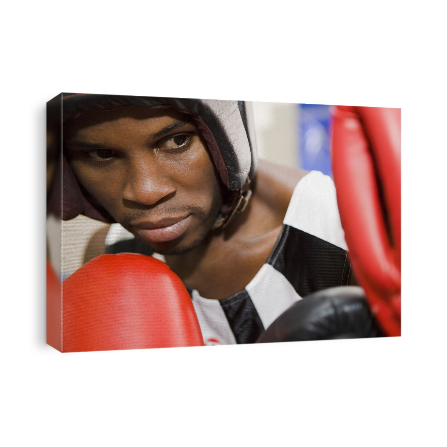 MODEL RELEASED. Boxers sparring. Close view of a boxer (left) facing an opponent (far right). Boxing is a combat sport where two opponents of equal weight hit each other with gloved fists. Punches are only allowed to the head and body. Boxers practice for fights by sparring with each other in the boxing ring. During contests, boxers often aim for a knockout punch that causes the opponent to fall unconscious. Concussion or permanent brain damage can result as a consequence of a knockout punch. Boxers must wear protective equipment such as a gumshield, gloves and, in amateur boxing, head protection.