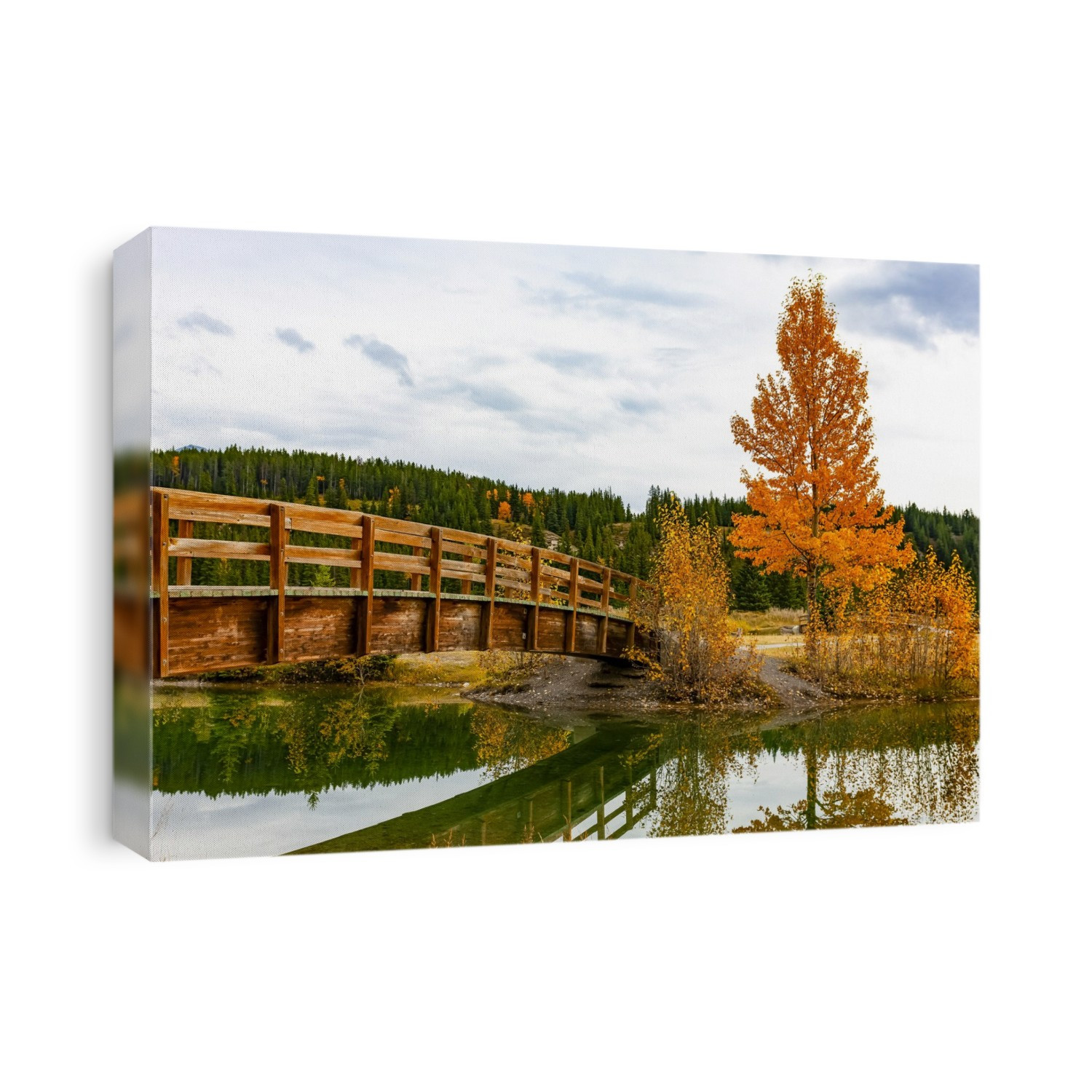 Wooden footbridge over a tranquil pond in autumn, Banff National Park; Banff, Alberta, Canada
