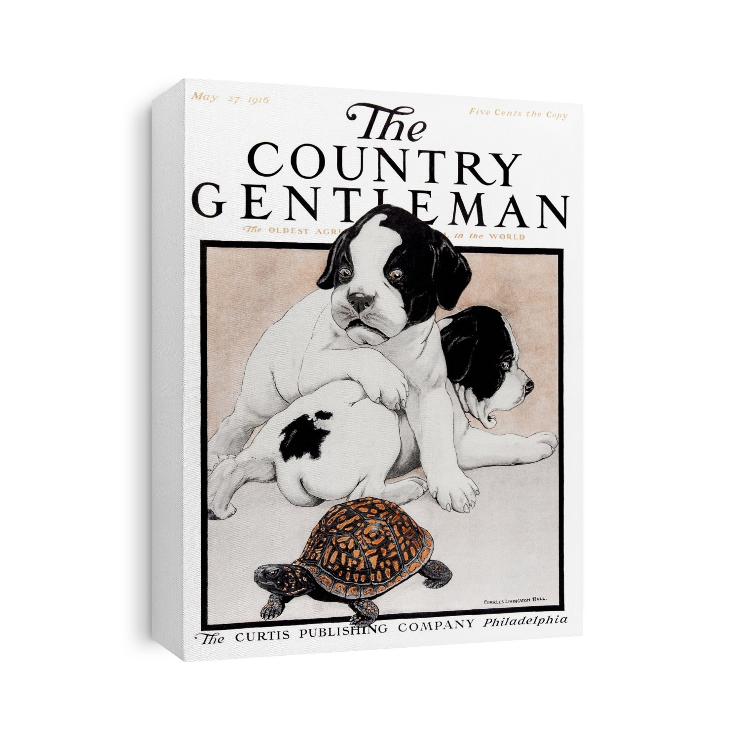 Cover Of Country Gentleman Agricultural Magazine From The Early 20th Century. .