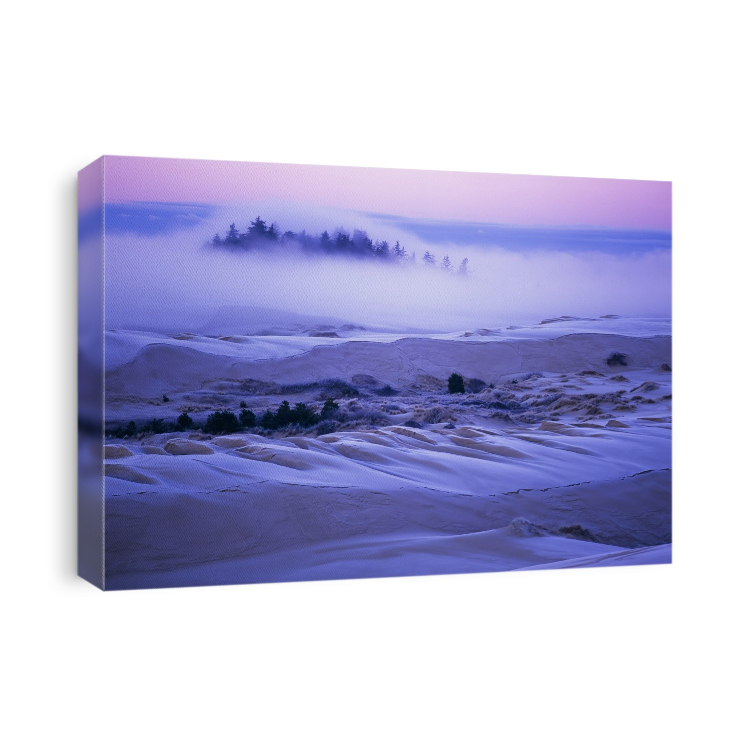 Fog Over The Sand Dunes At Dawn After A Heavy Frost; Lakeside, Oregon, United States Of America
