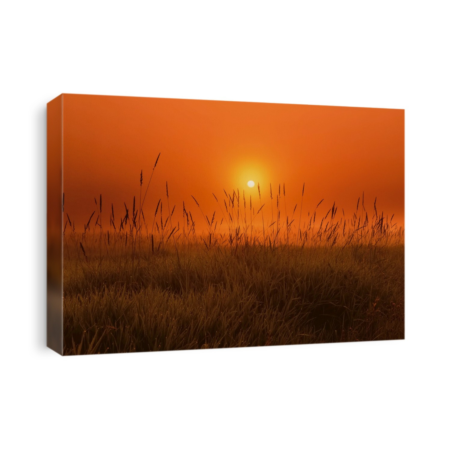 Sunrise over Field Near Sherwood Park, Alberta Canada