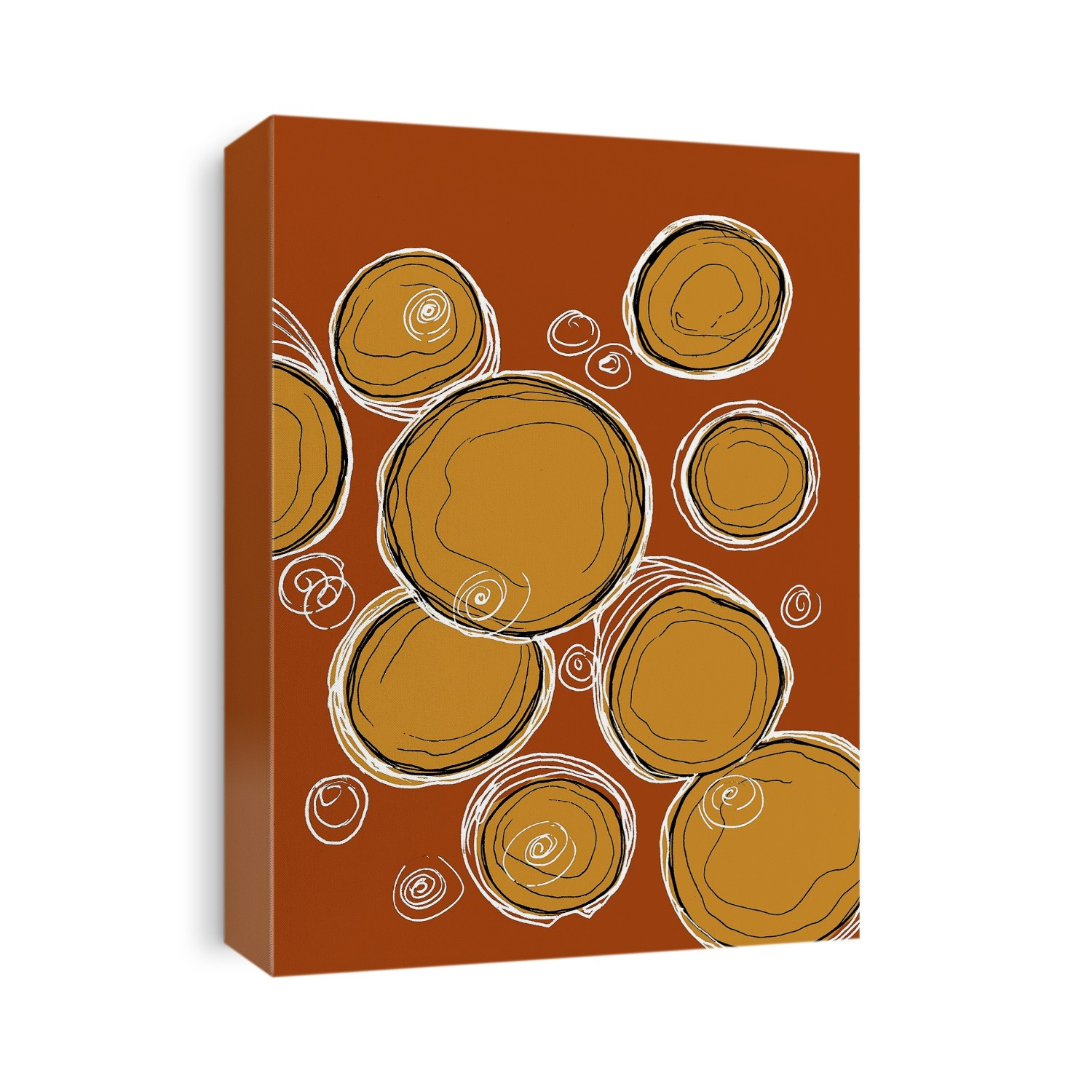 Oocytes, illustration. Oocytes are immature egg cells, the female gametes (sex cells). Oocytes are encased in a glycoprotein shell called the zona pellucida that prevents more than one sperm from fertilising the same egg.
