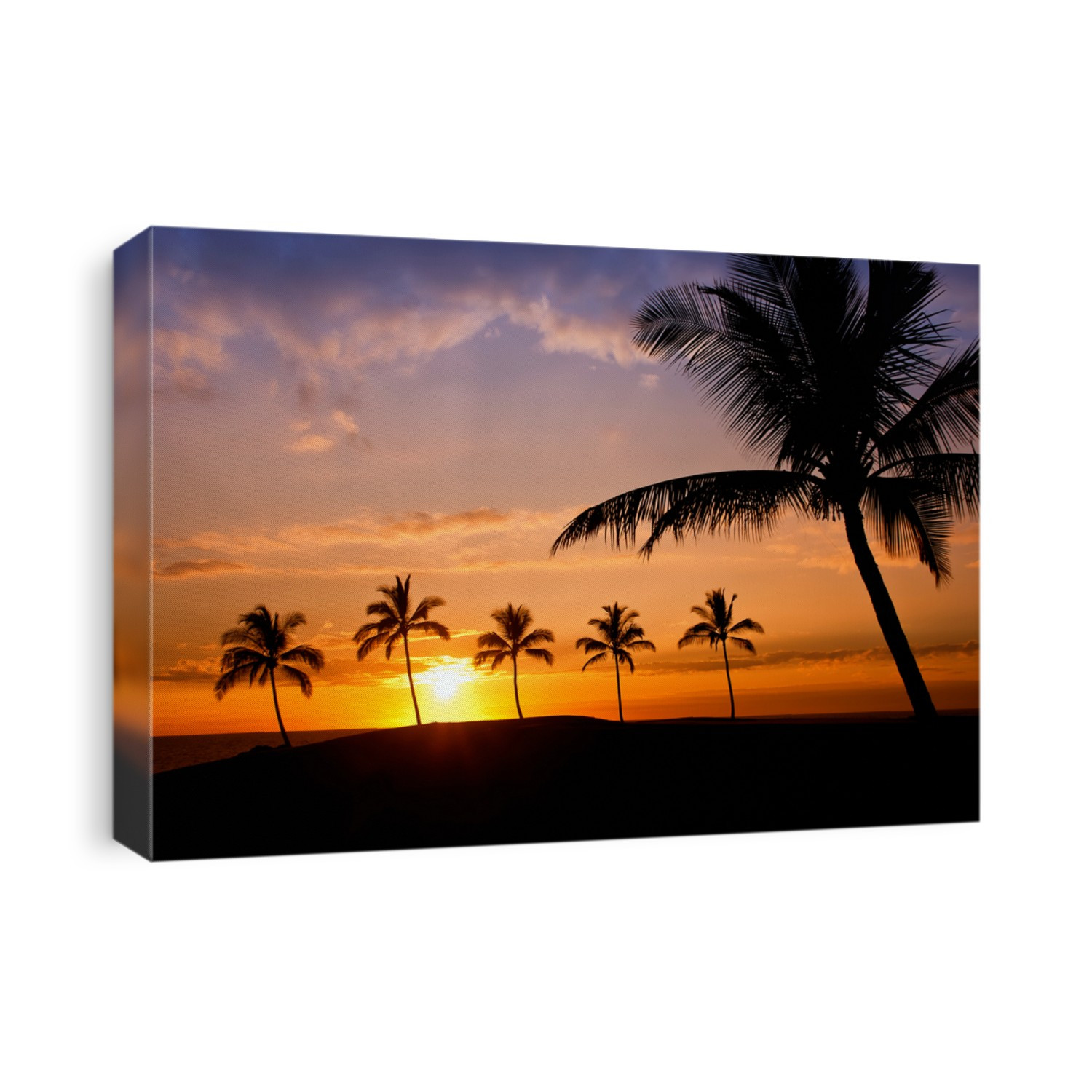 Hawaiian palm tree sunset on Big Island