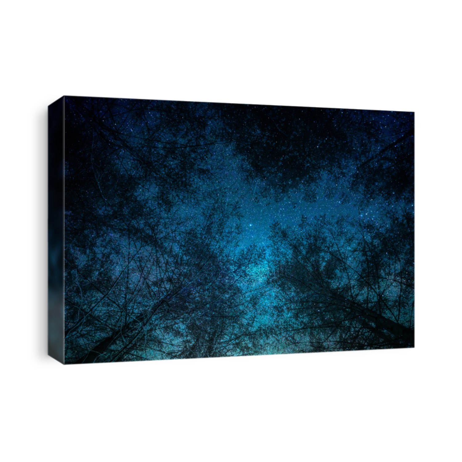 tree in space