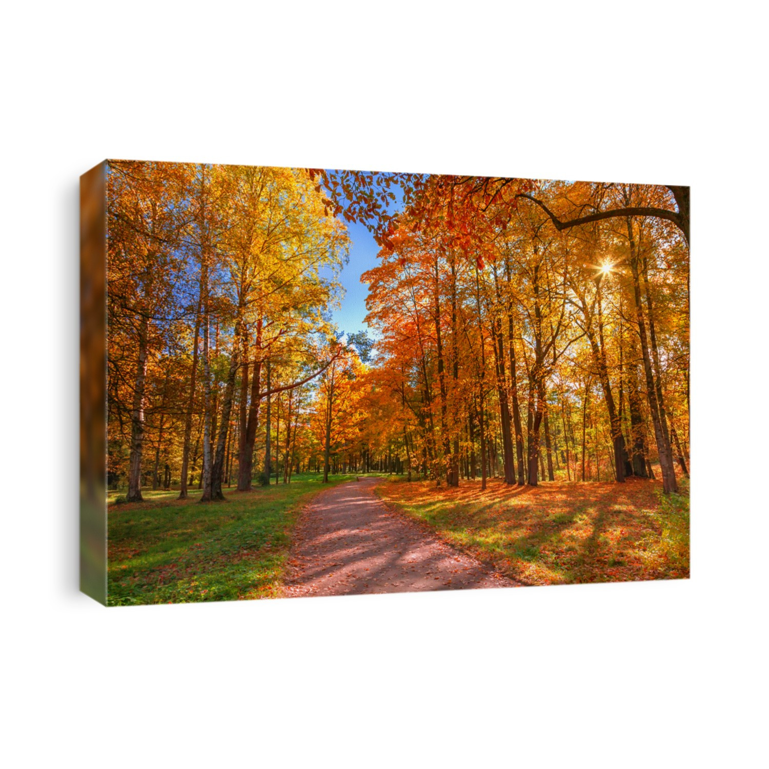 Autumn landscape with yellow trees
