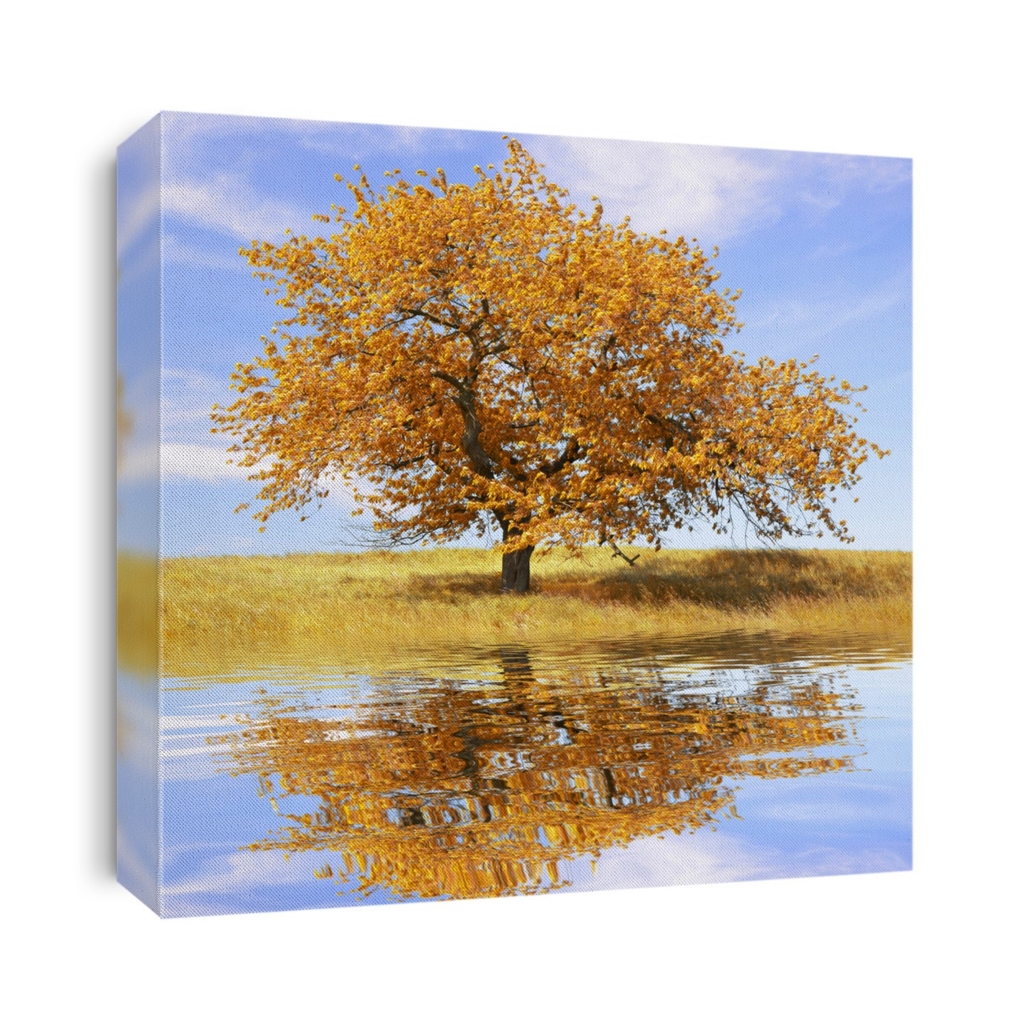 Autumn landscape with tree