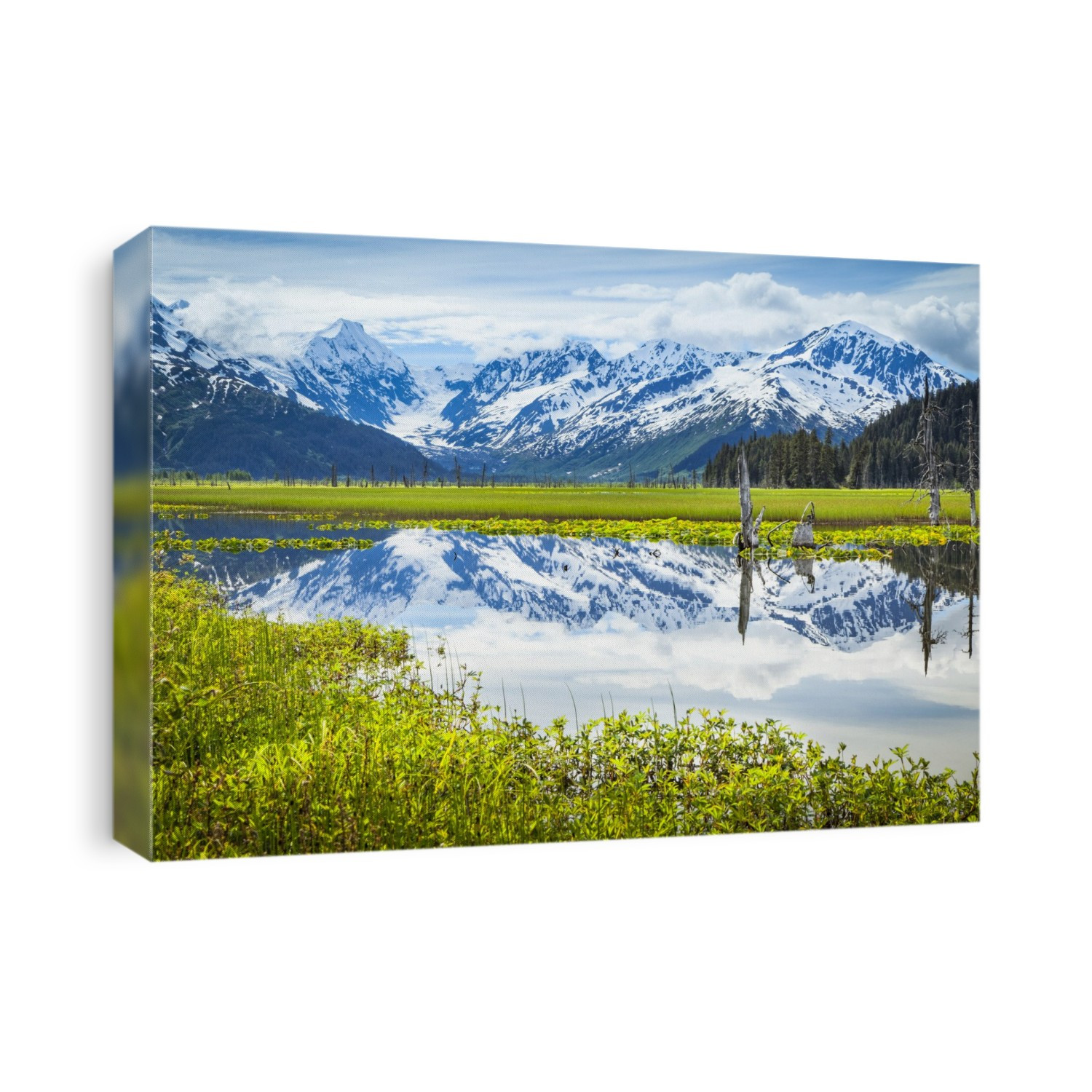 Reflection of Chugach Mountains in a tranquil lake; Alaska, United States of America