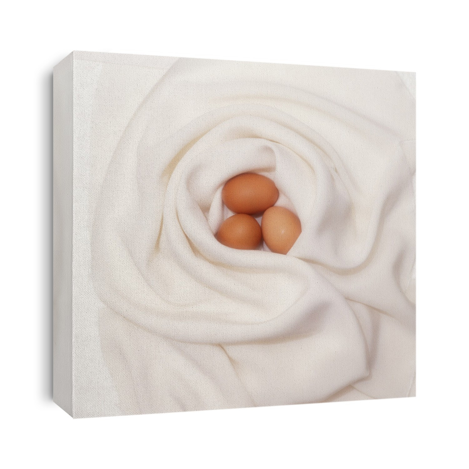 Eggs wrapped in a sheet. Eggs are reproductive structures. They are edible and are a good dietary source of protein, but also contain high levels of cholesterol.