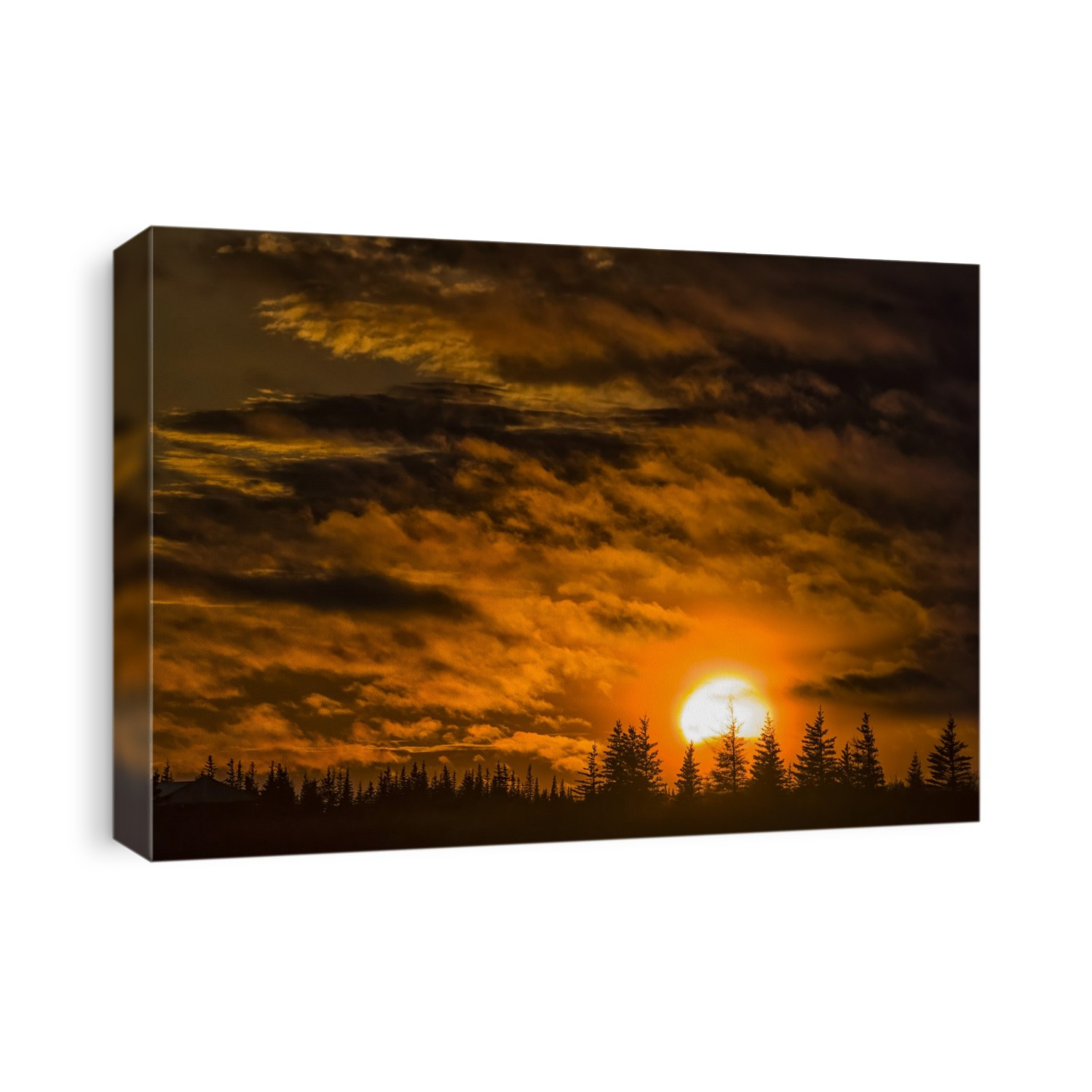 Dramatic sunset over the trees along the shore of Hudson Bay; Churchill, Manitoba, Canada