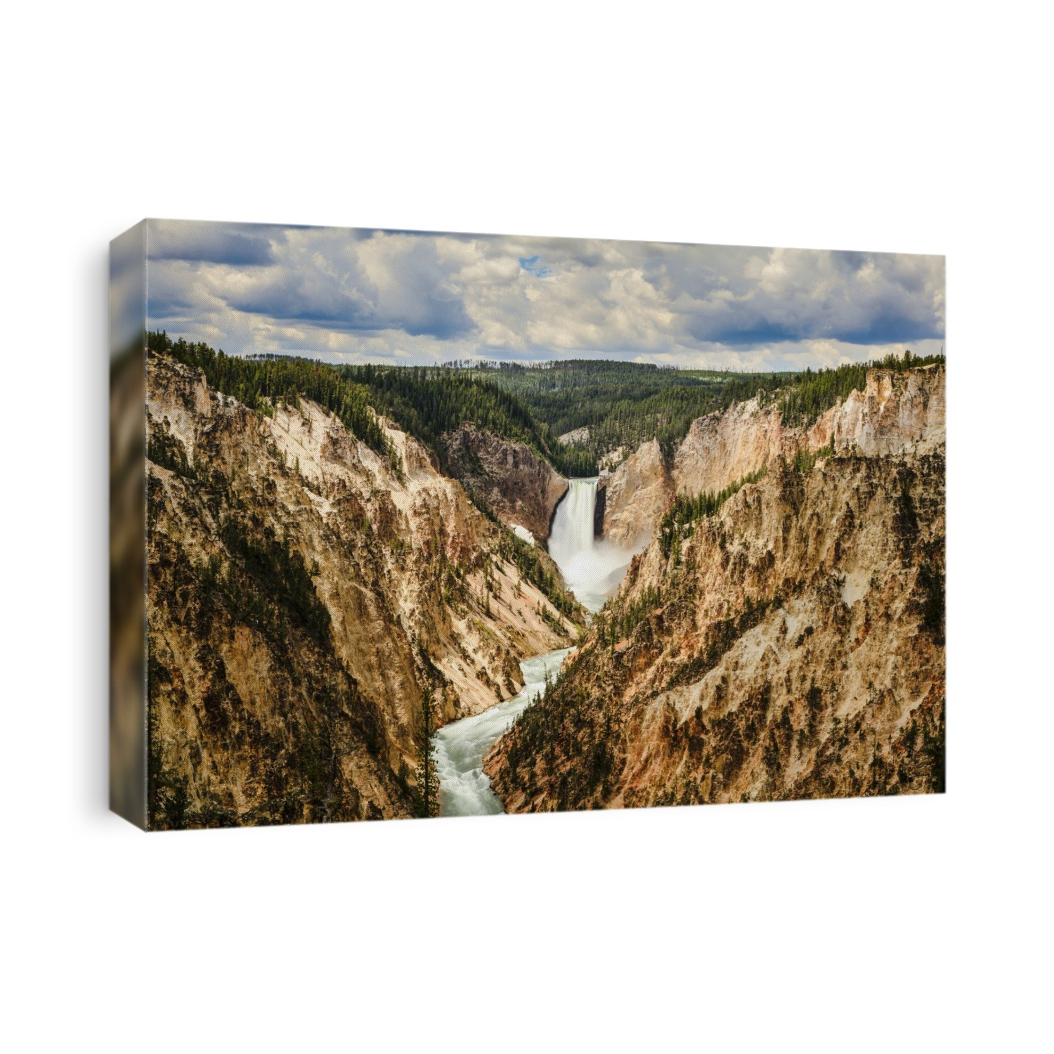 Grand Canyon And Lower Yellowstone Falls, Yellowstone National Park; Wyoming, United States Of America