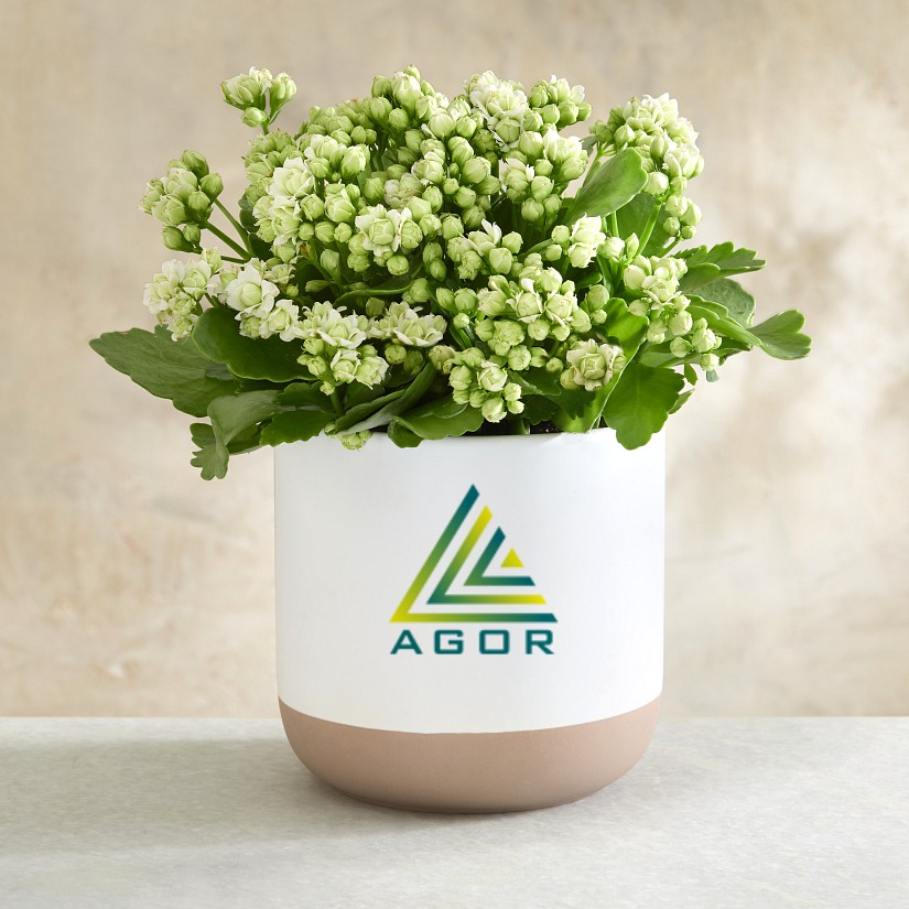 Ceramic Planter