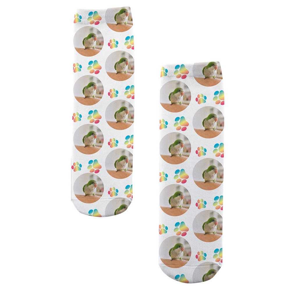Pet Paw Print Photo Socks - Rainbow - Small