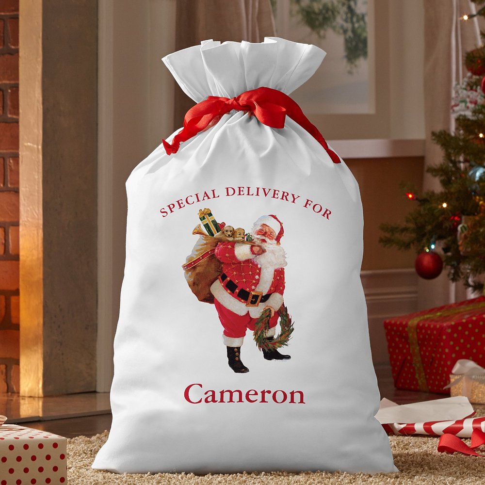 Donald Zolan Santa’s Special Delivery Oversized Gift Bag
