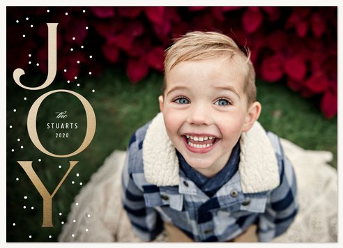 Snowy Joy Personalized Holiday Cards
