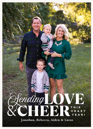 This Crazy Year Photo Holiday Cards