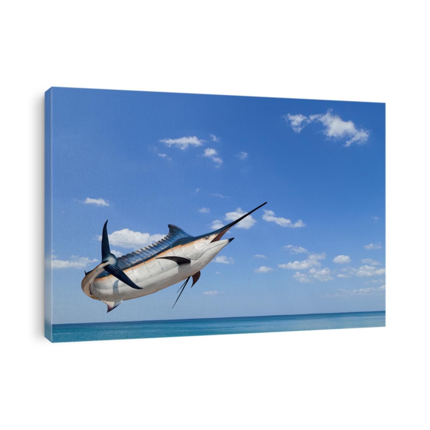 Marlin - Swordfish,Sailfish saltwater fish (Istiophorus) isolated on sea and sky  background